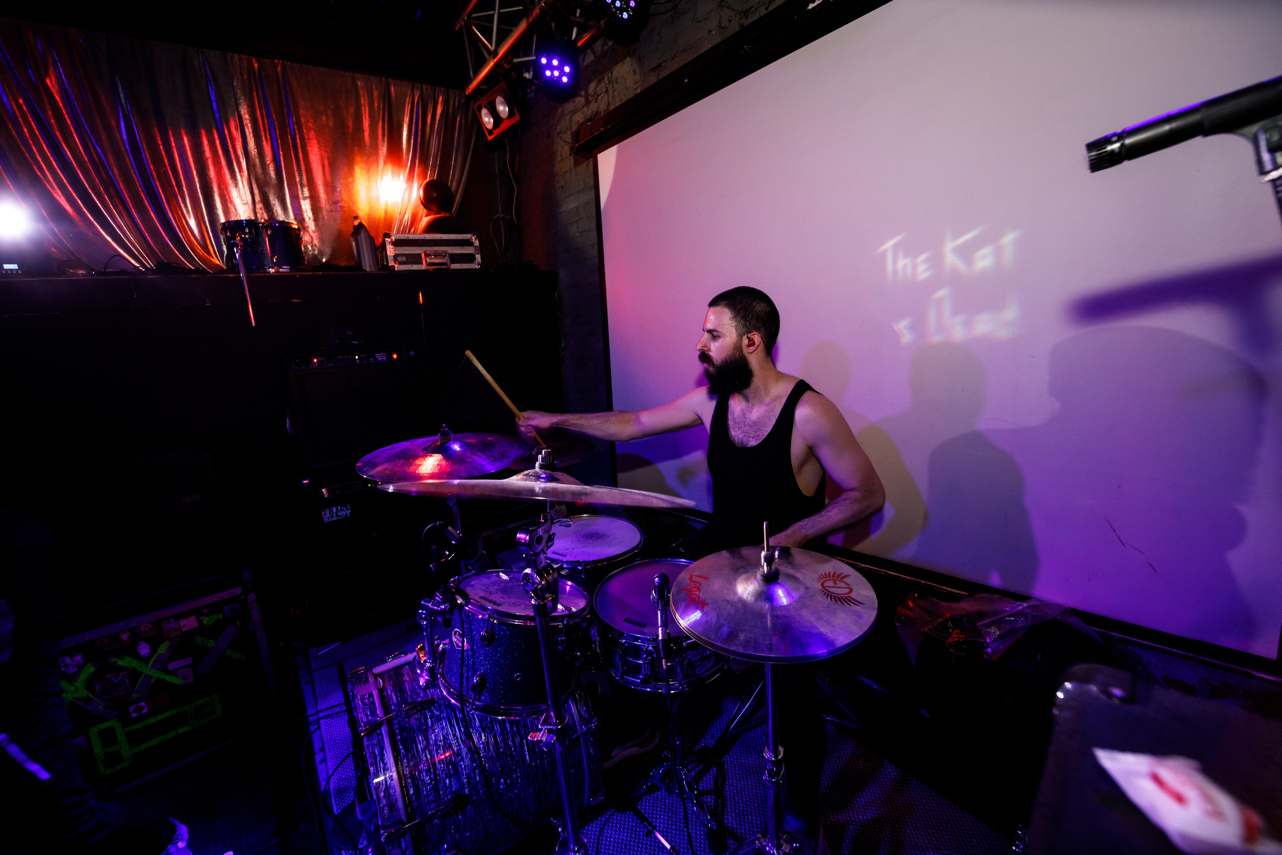 THE KAT IS DEAD. Фотограф Елена Богачева (lenalena_na_na_na)