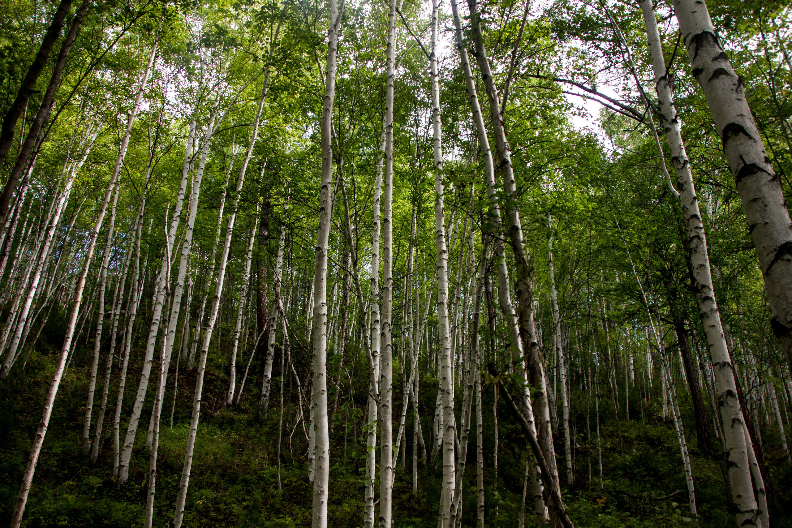Камчатка, 2018. Портретный фотограф в Москве Евгения Яковенко