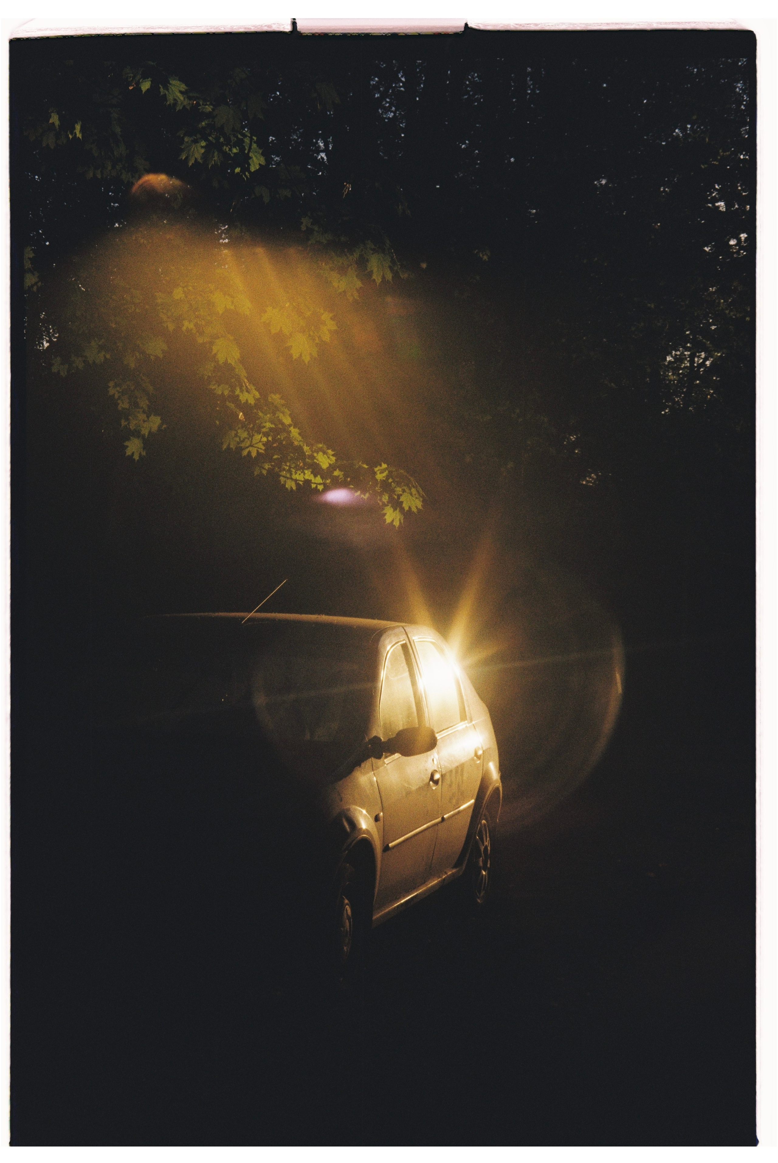 Всякие картинки