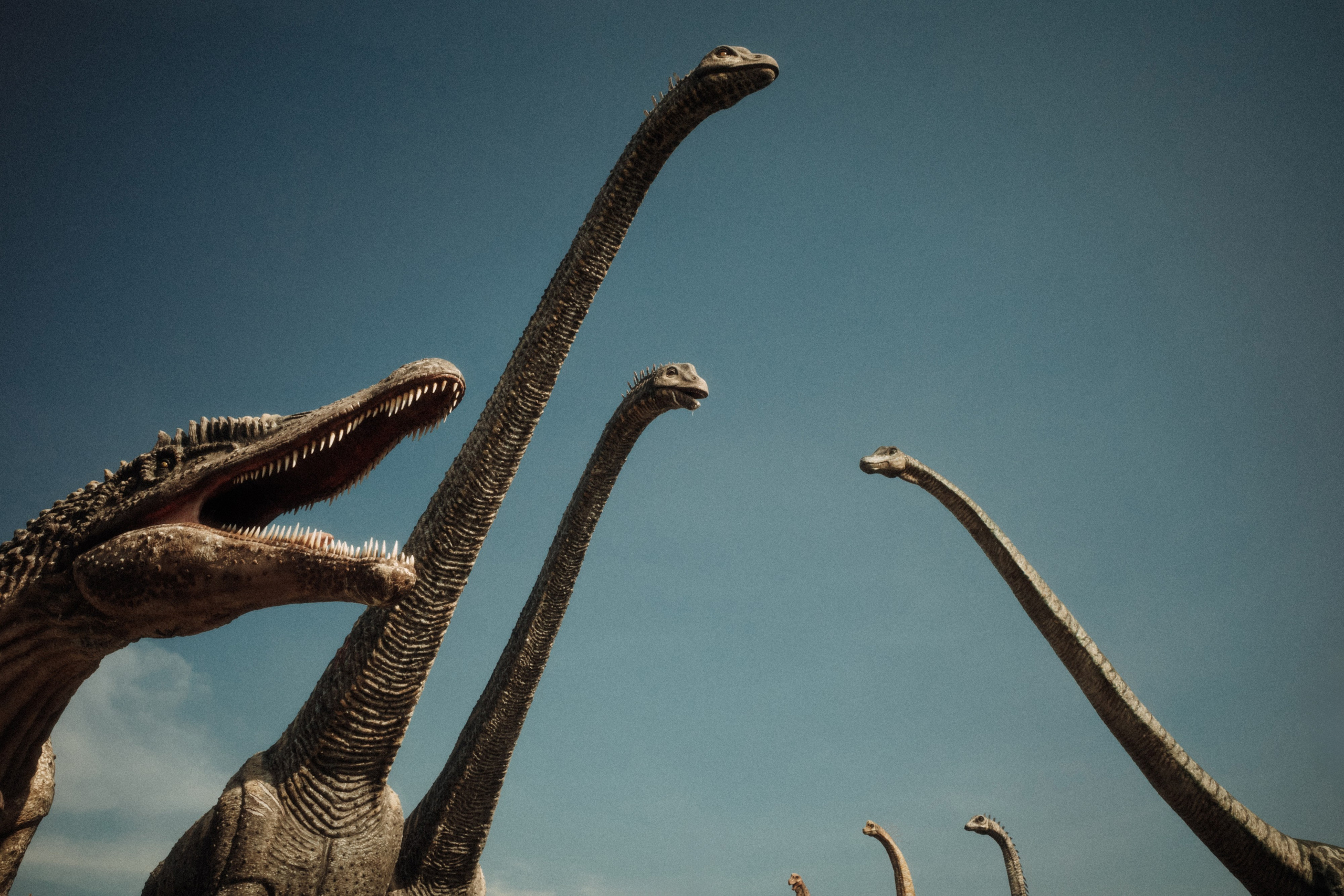 Тайланд плёнка. Свадебный фотограф в Спб Сергей Баланян