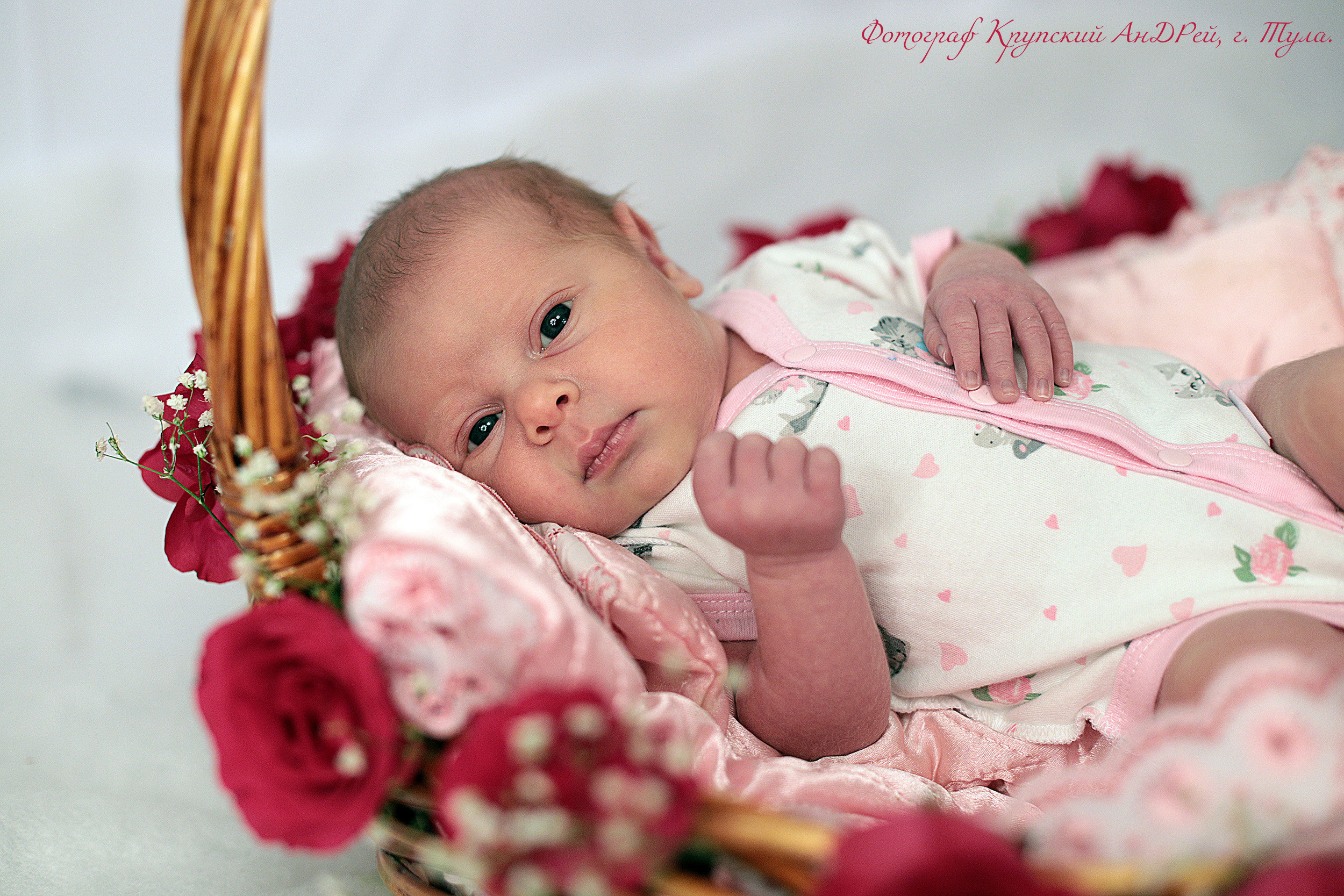 Съемка новорожденных (Ньюборн #Newborn фото). Фотограф в Туле Крупский АнДРей. Фотостудия «КАДР71» в Туле