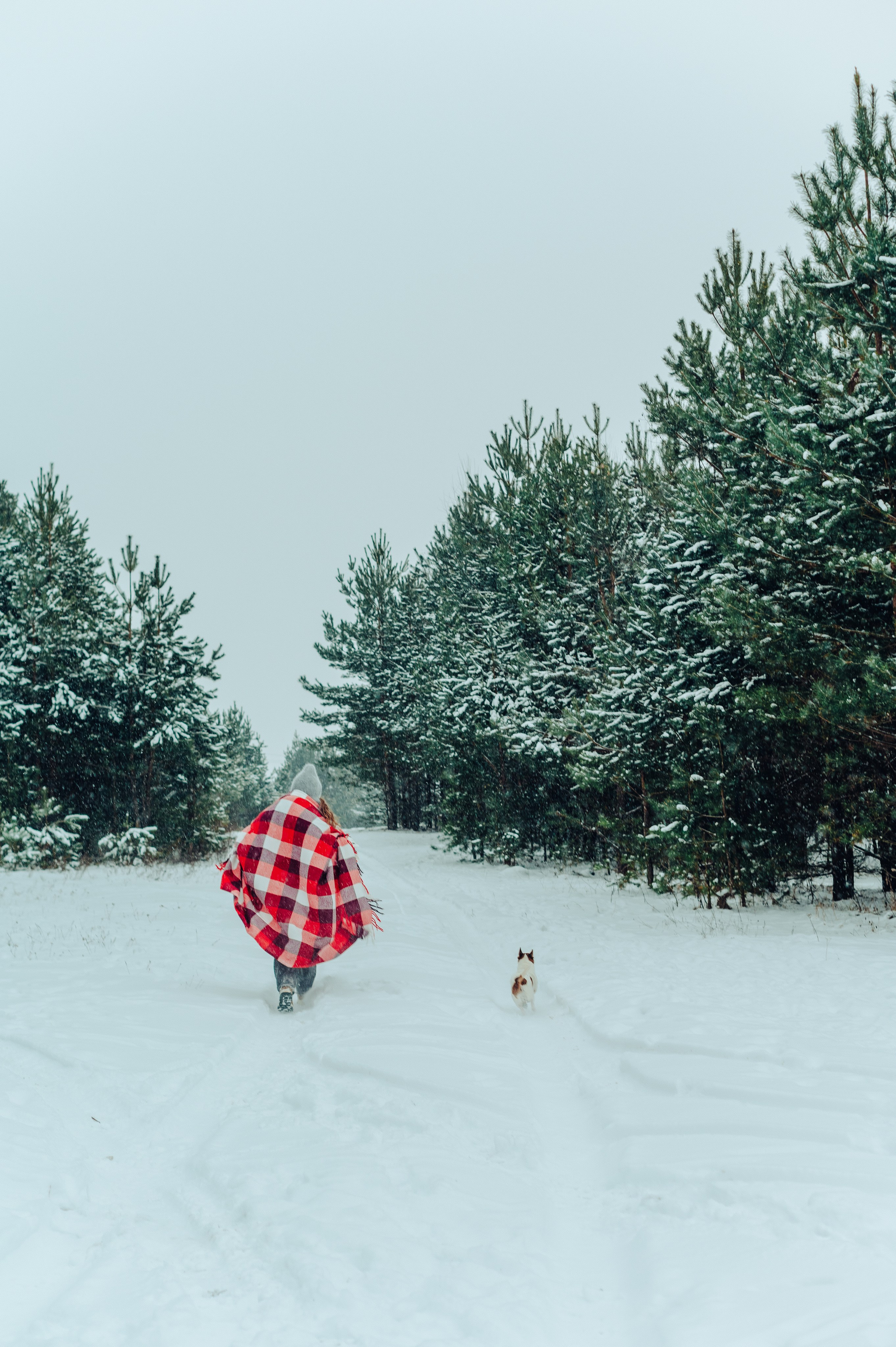 Вика и Денис. Детский и семейный фотограф Катерина Мишина