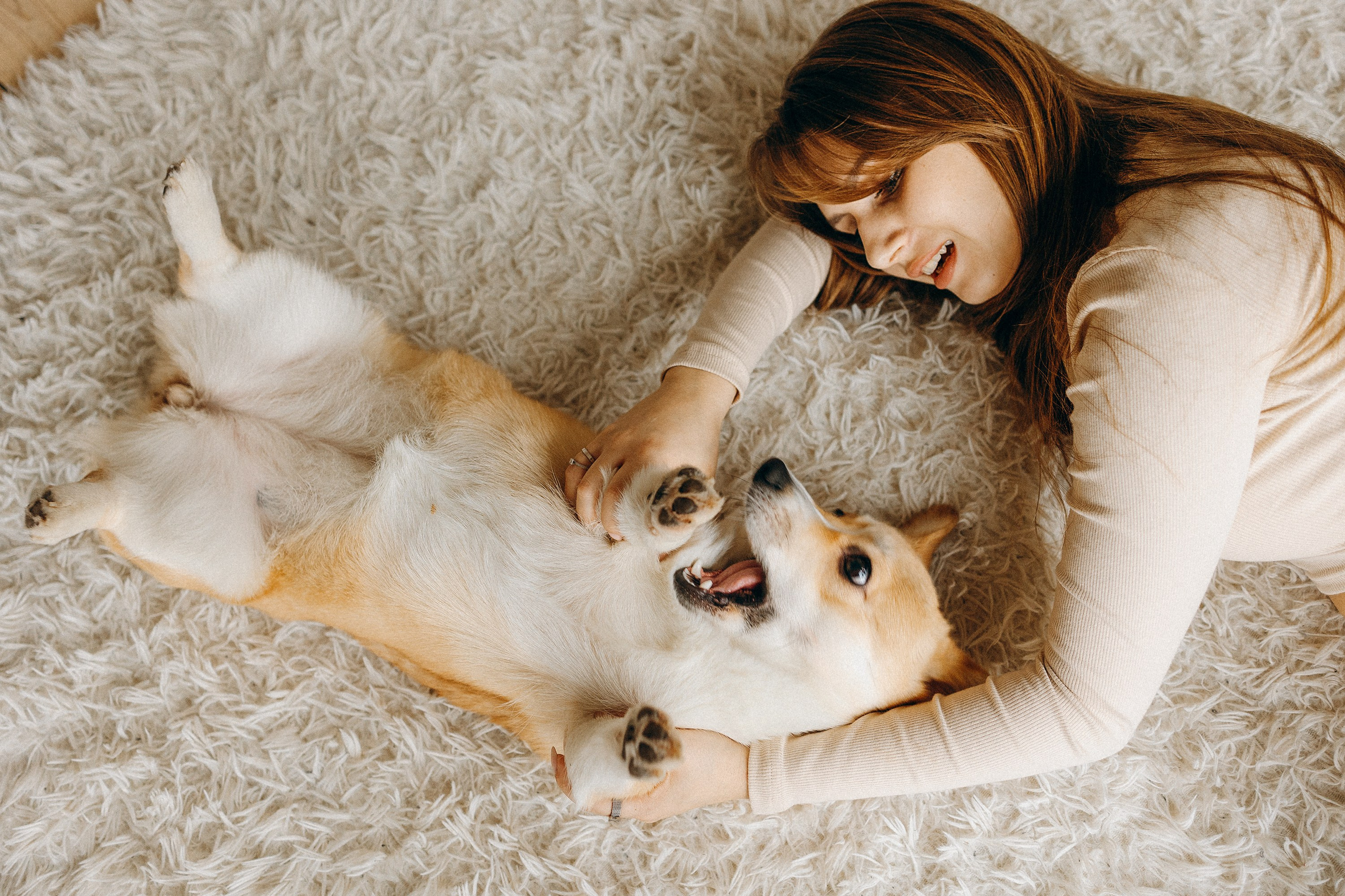 Семья с корги. Фотограф. Фотограф-анималист. Москва