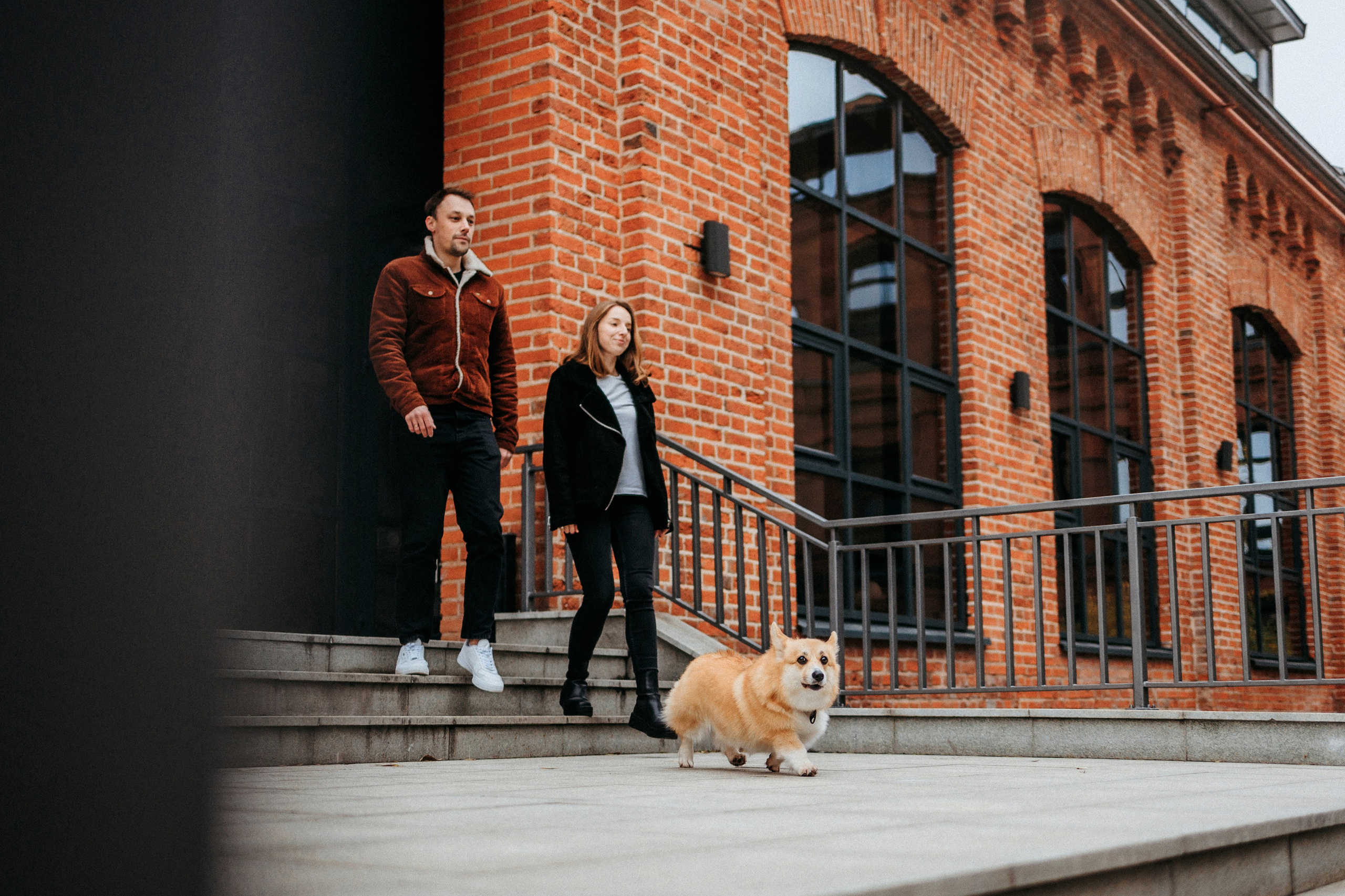 Вера, Саша и Муна. Фотограф-анималист Елена Радченко, Москва