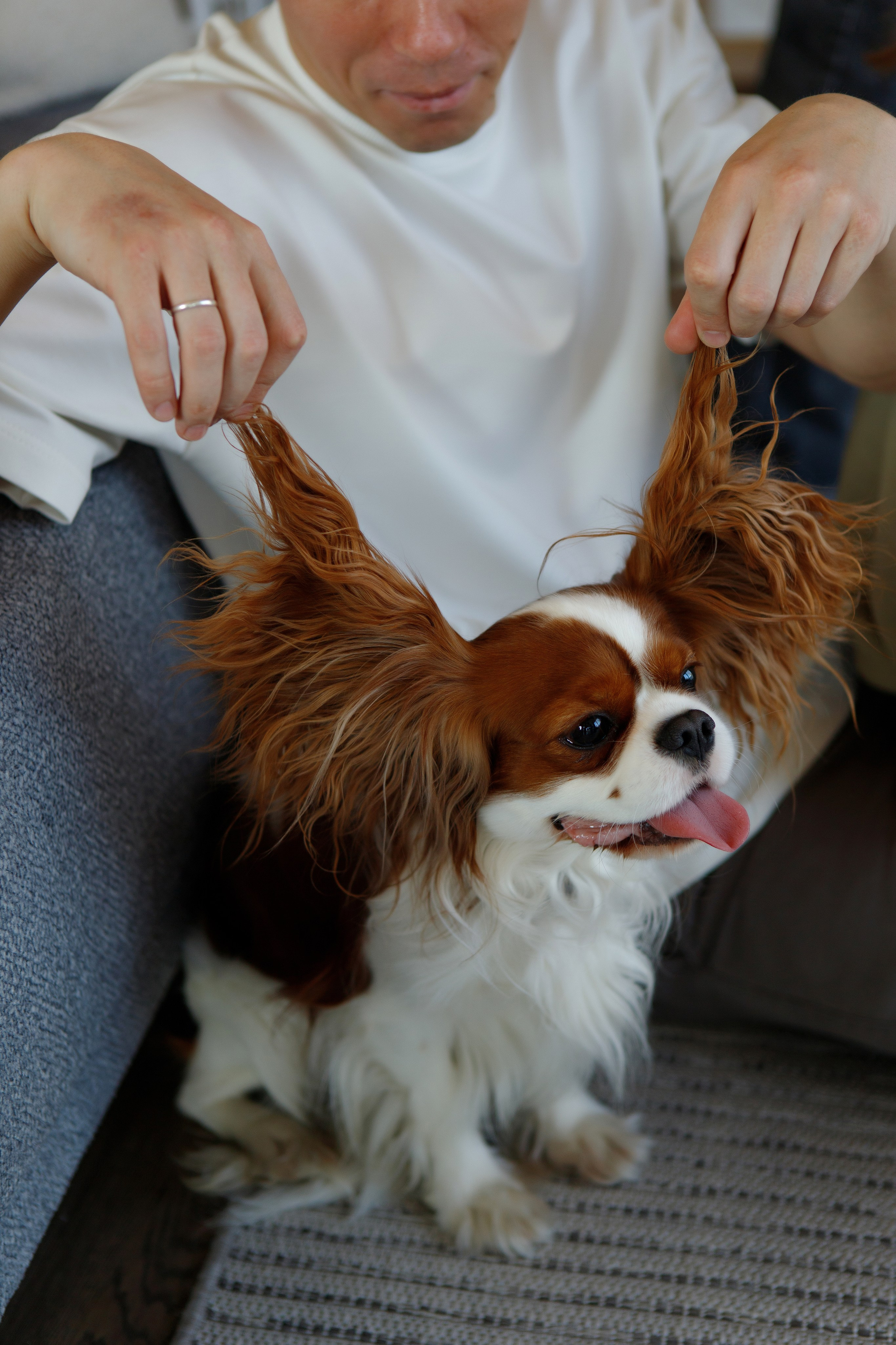 Семейный фотограф в Саратове Елена Прохорова