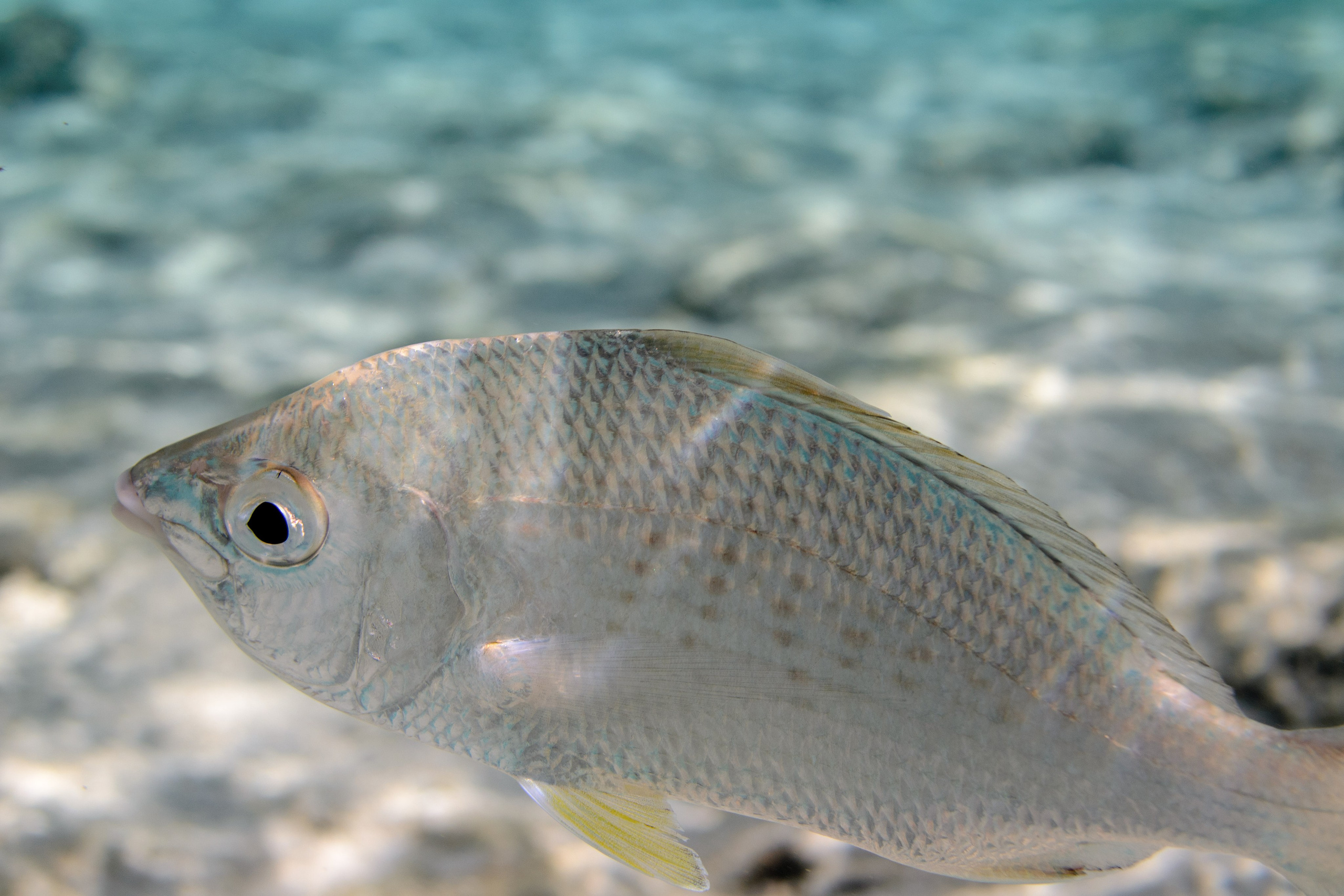 Море. Фотограф в Санкт-Петербурге Ибрагимова Алина