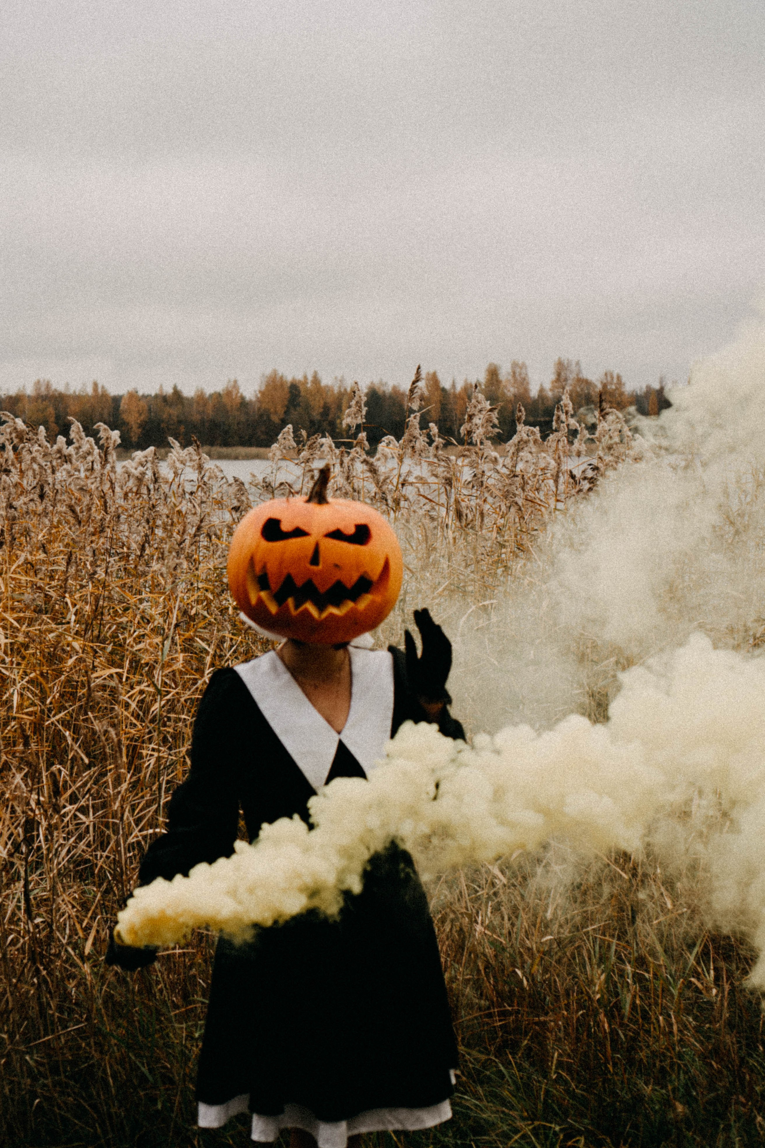 Осеняя. Профессиональный фотограф, Санкт-Петербург — Виктория Богомолова