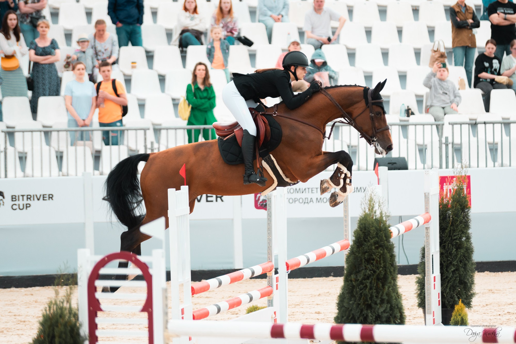 BITRIVER CUP 2023. Конный фотограф Куракина Дарья • Фотосессии с лошадьми