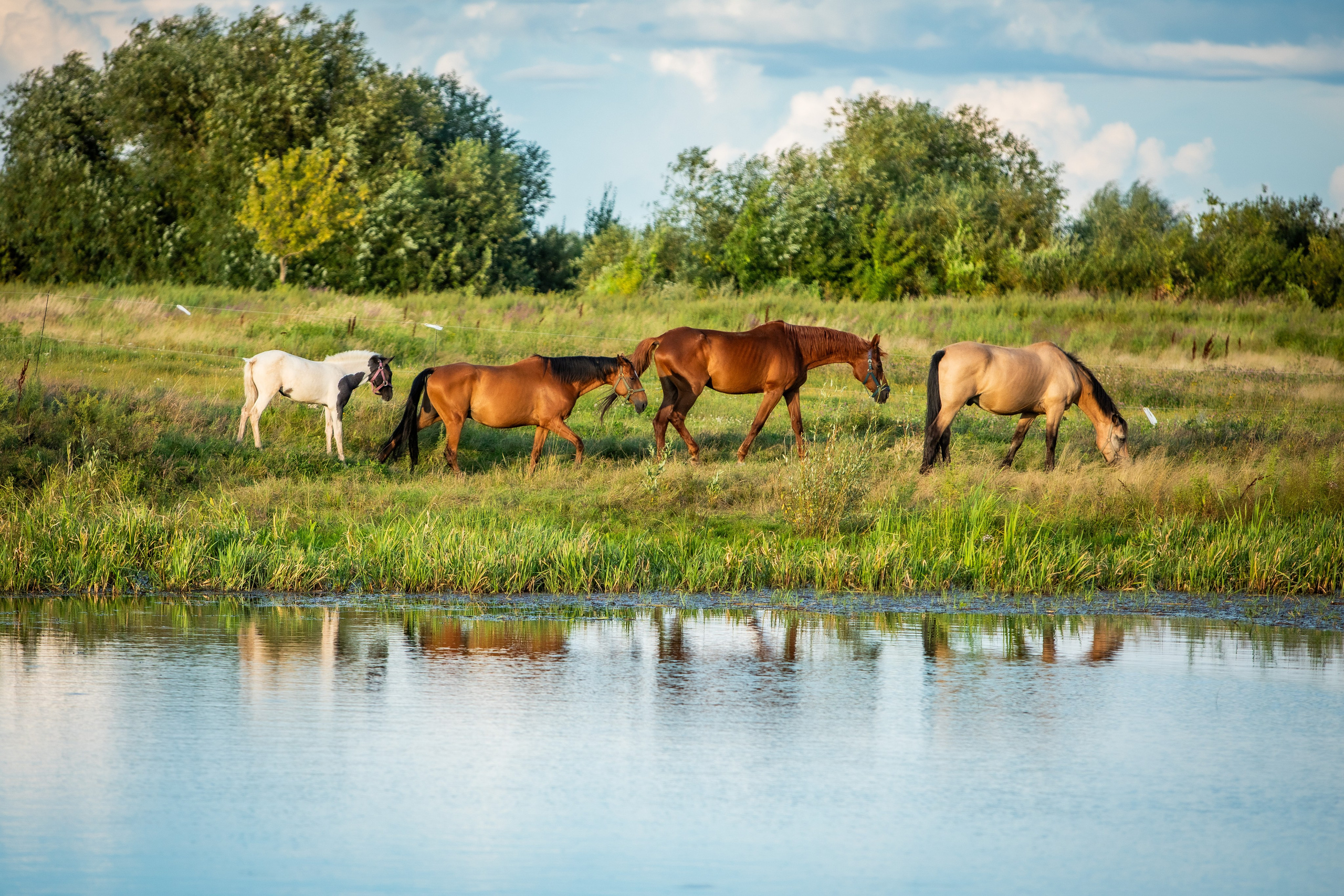 Фотограф Сергей Ловкий