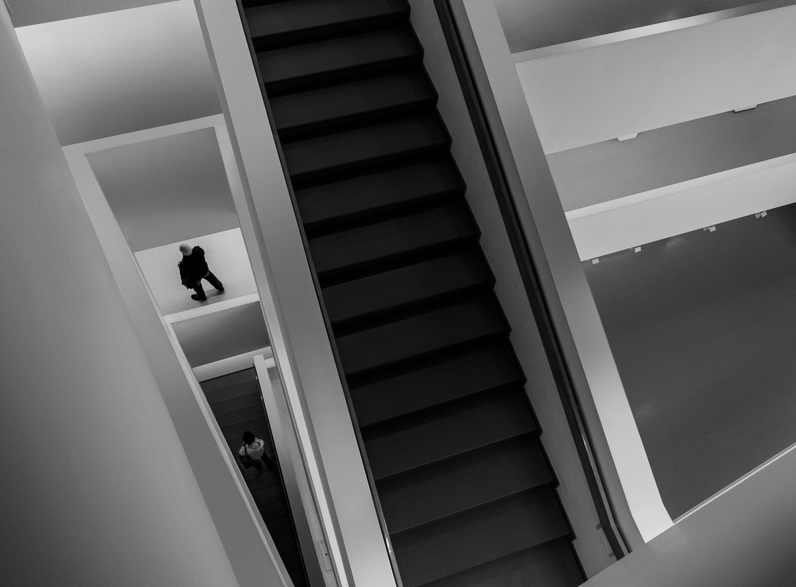 Точка черного. Сафонов Владислав, фотохудожник