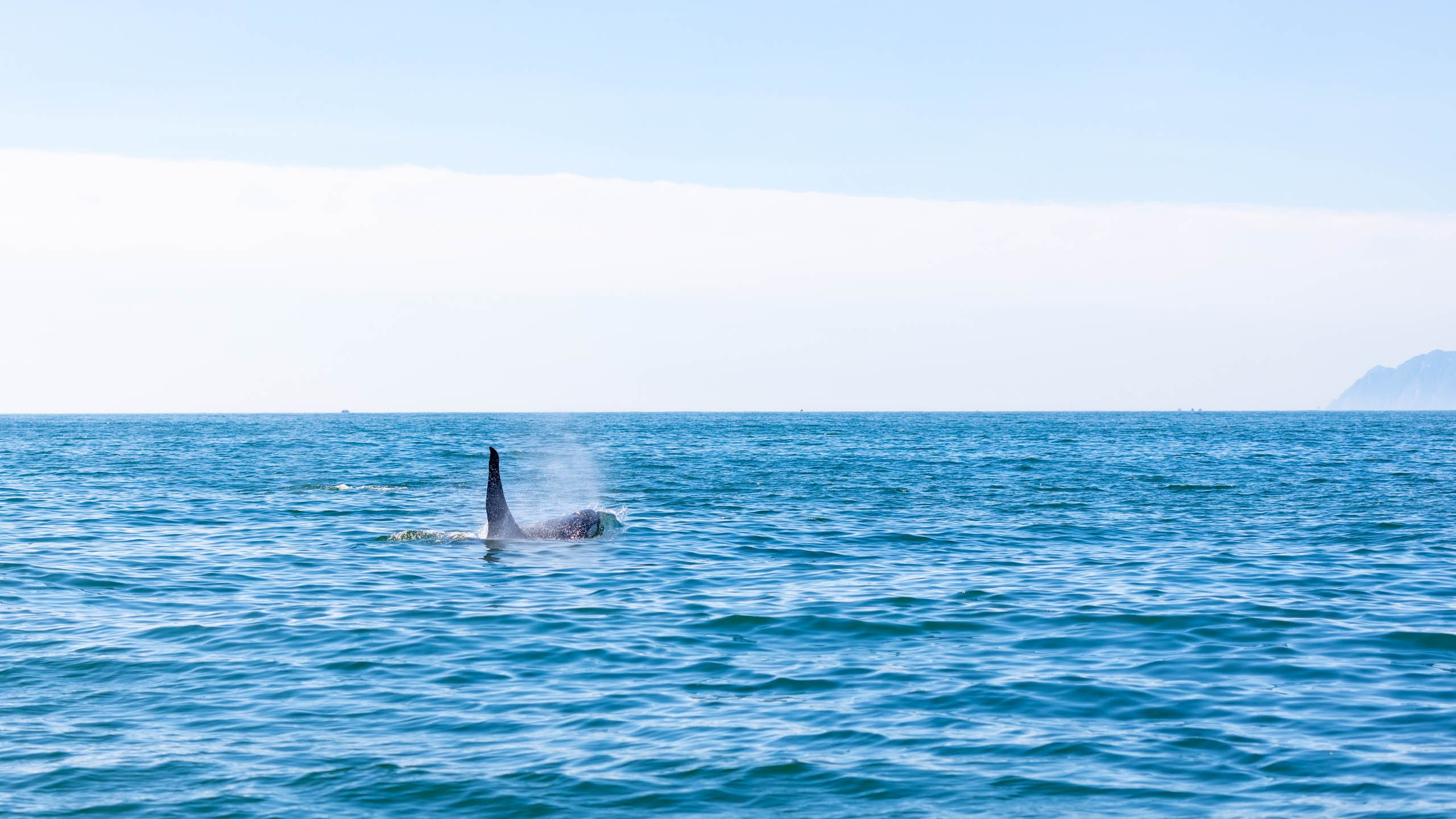 2023 07 Камчатка. Фотографии