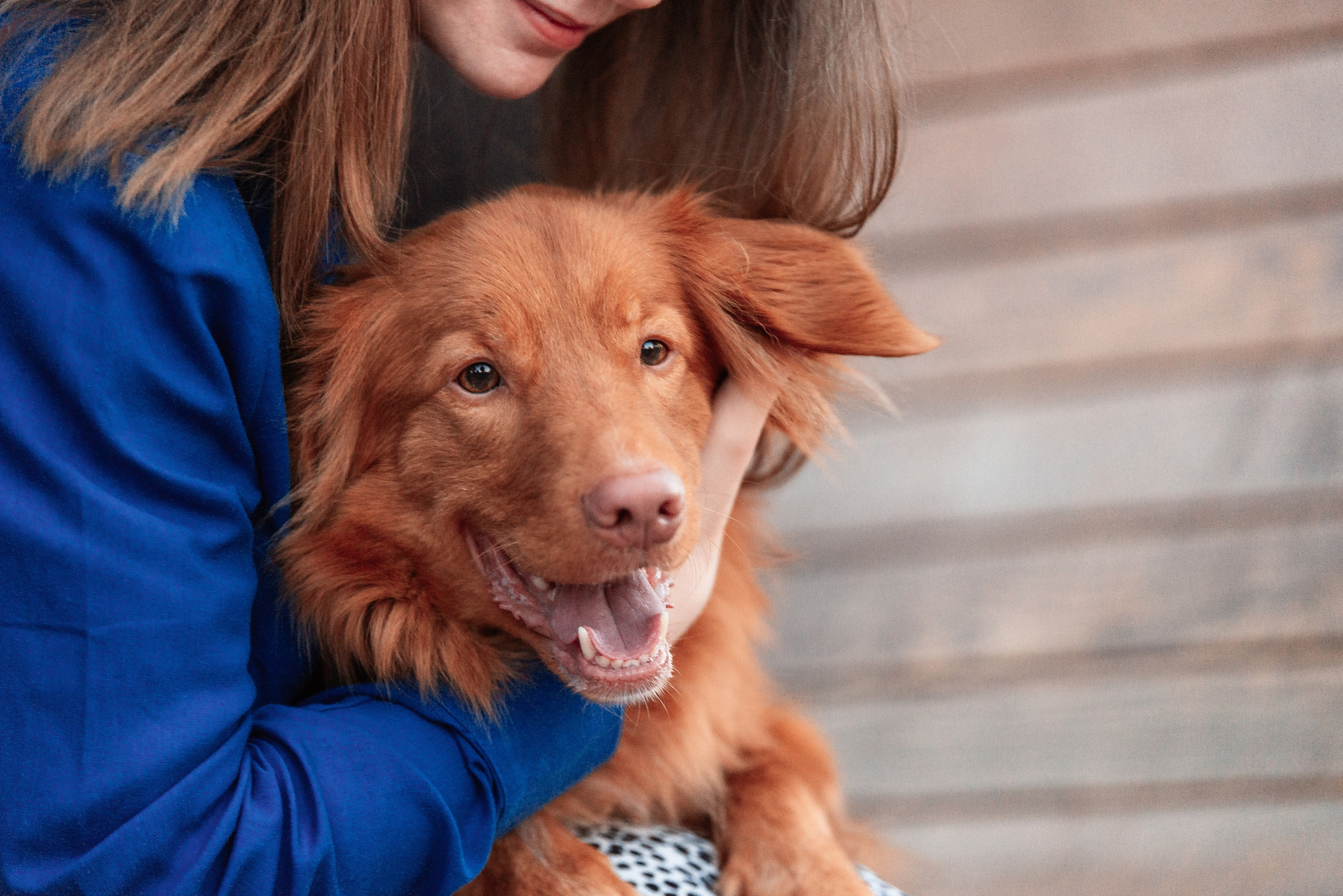 Таня и Лео. Фотограф-анималист Анастасия Парфенова|Екатеринбург