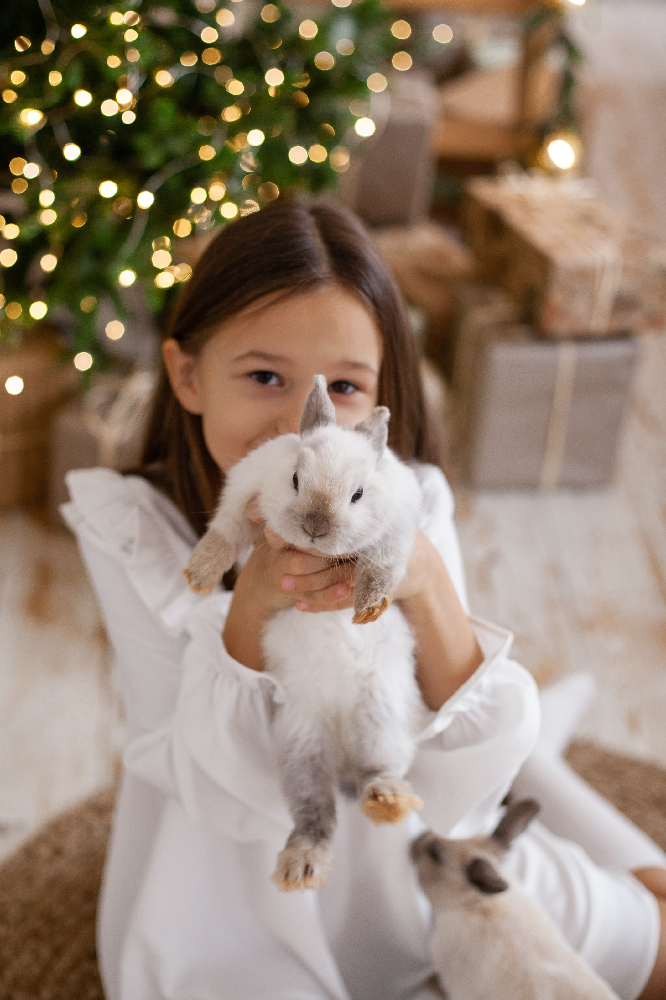 Новогодние фотосесии. Фотограф Яна Артемьева