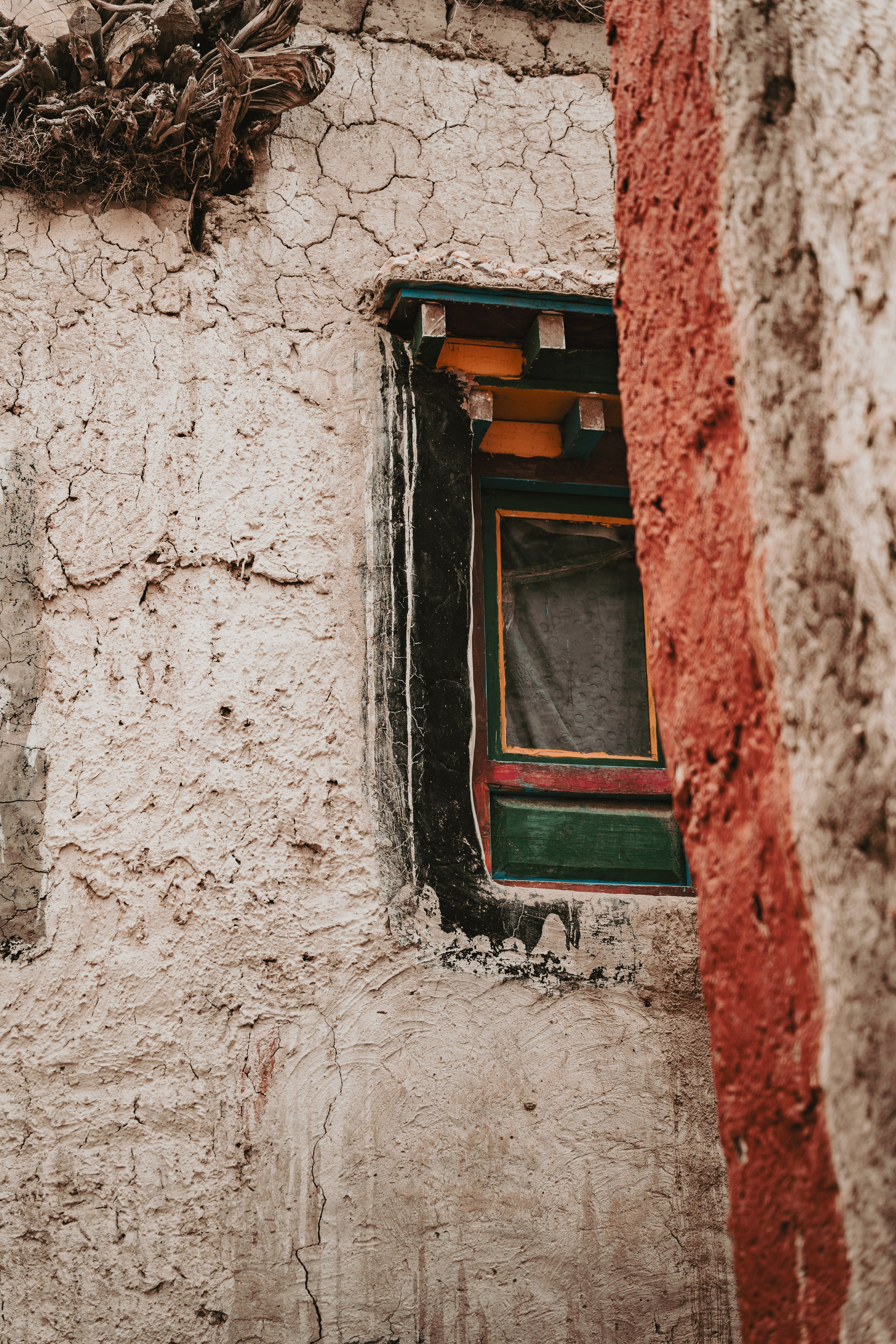 Королевство Мустанг. Dmitry Ippolitov