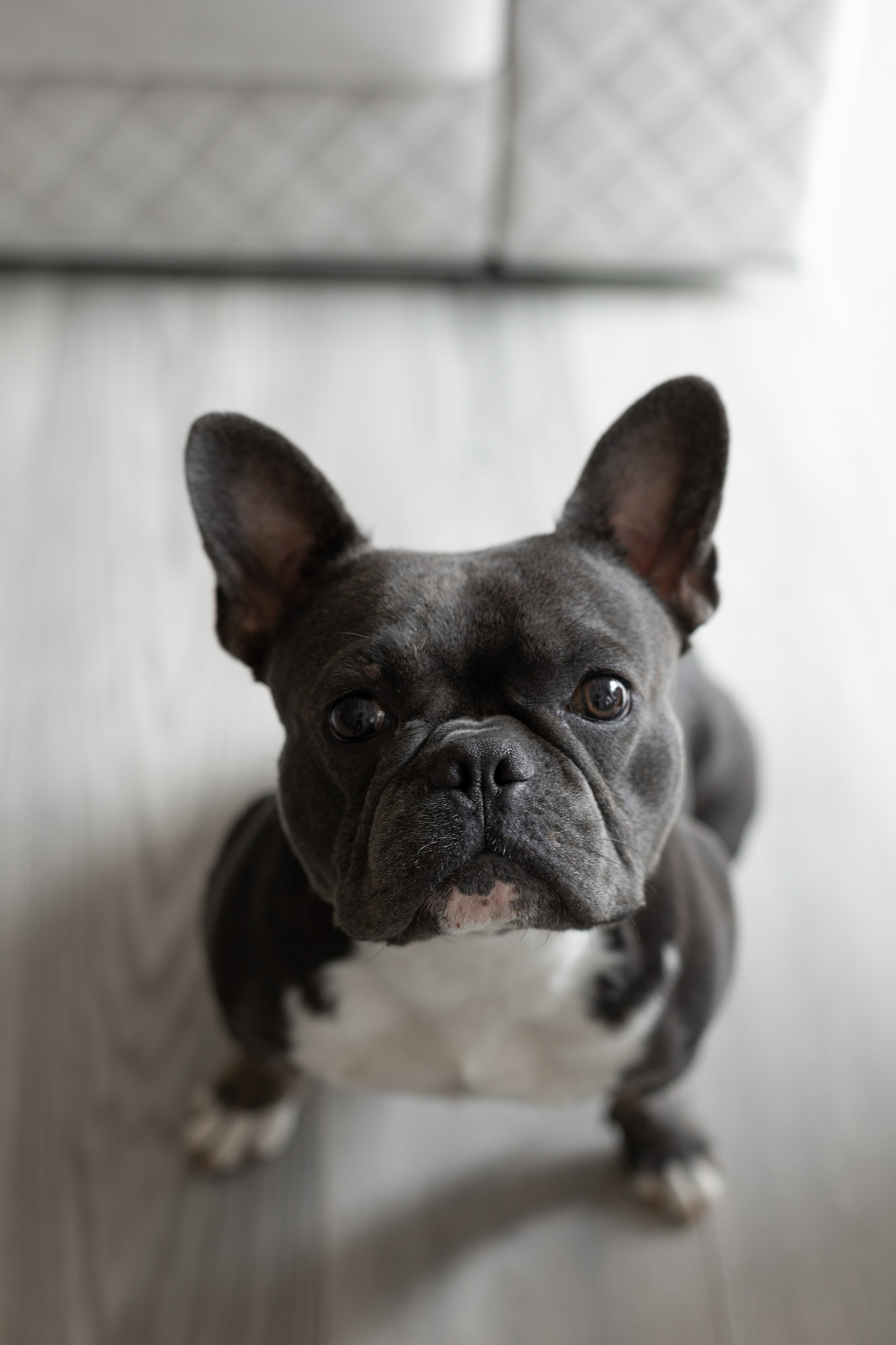 Кирилл & Евгения. Фотограф в Краснодаре Левик Казарян