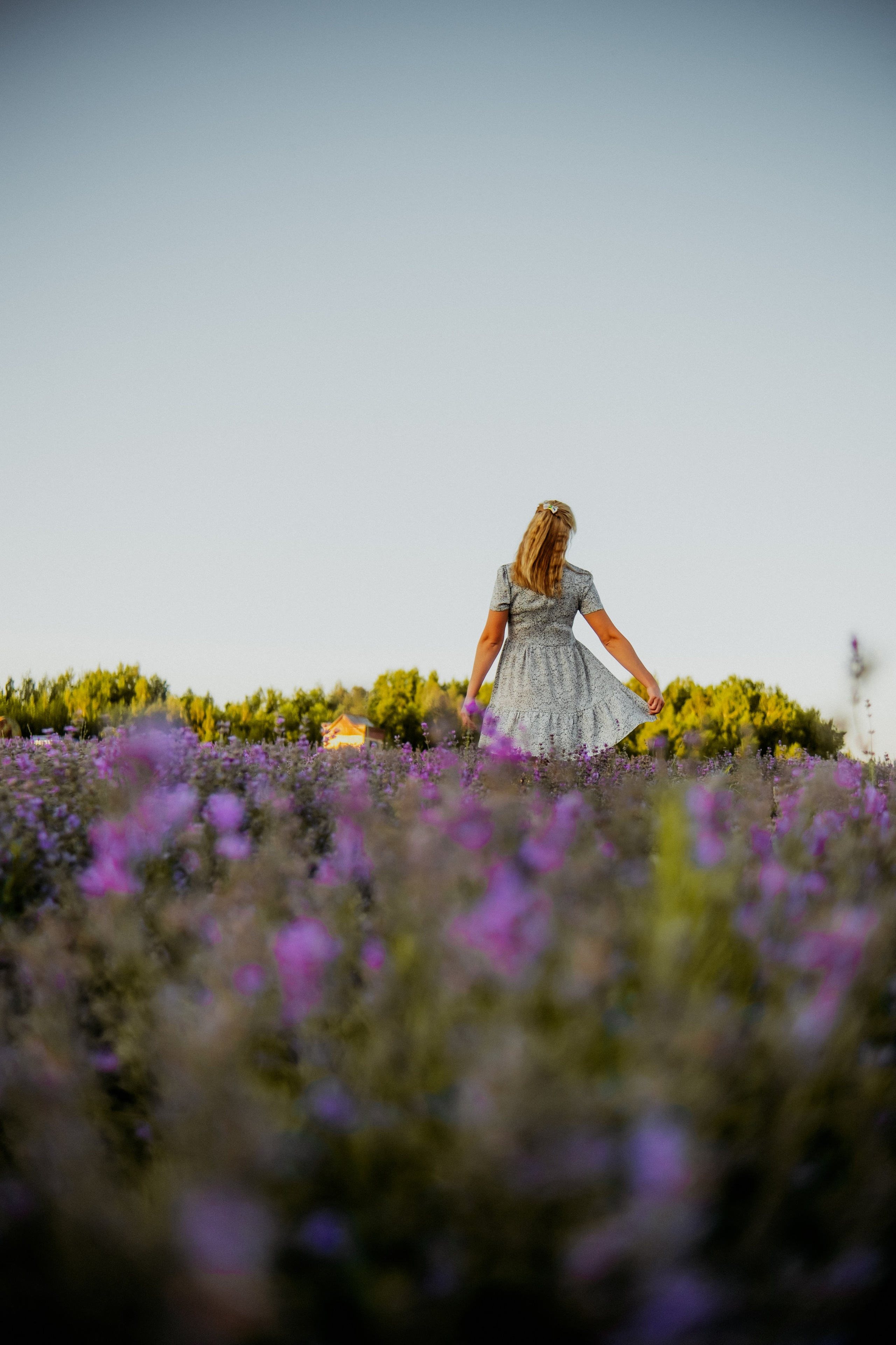 Семейная съемка в лованде. Nattie.ph