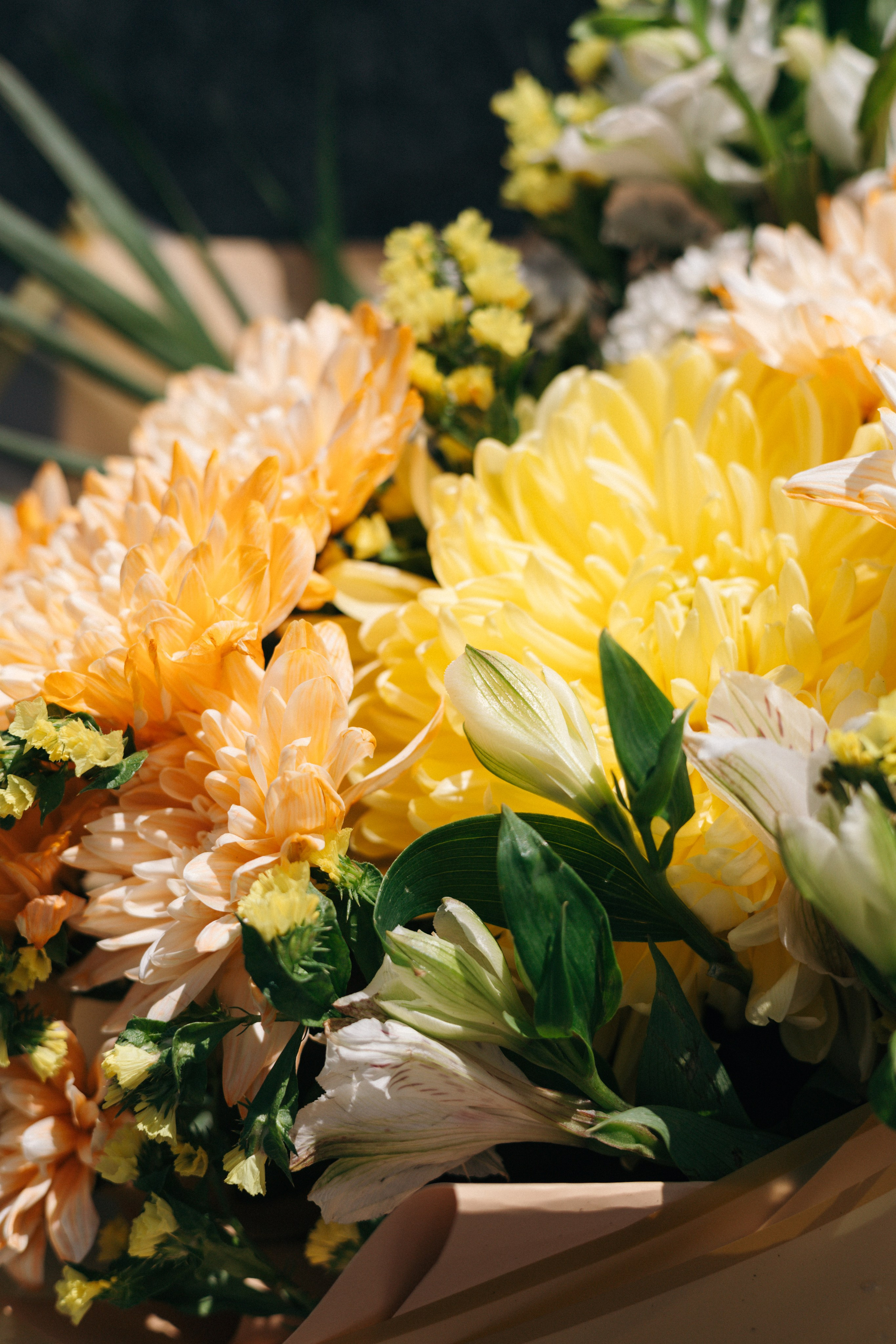 Кейс магазин цветов. Ваш фотограф