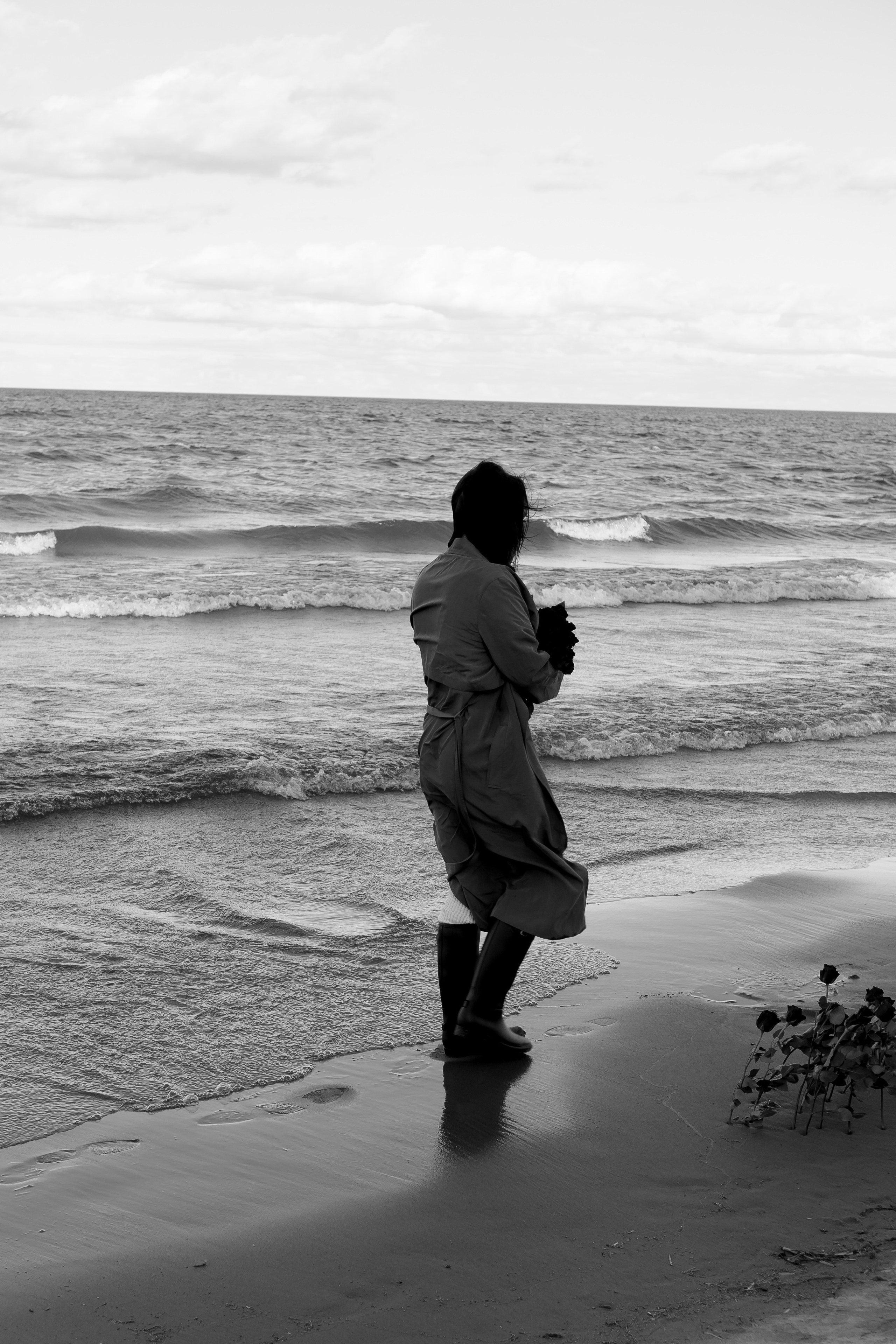 Розы. Профессиональный фотограф, Санкт-Петербург — Виктория Богомолова