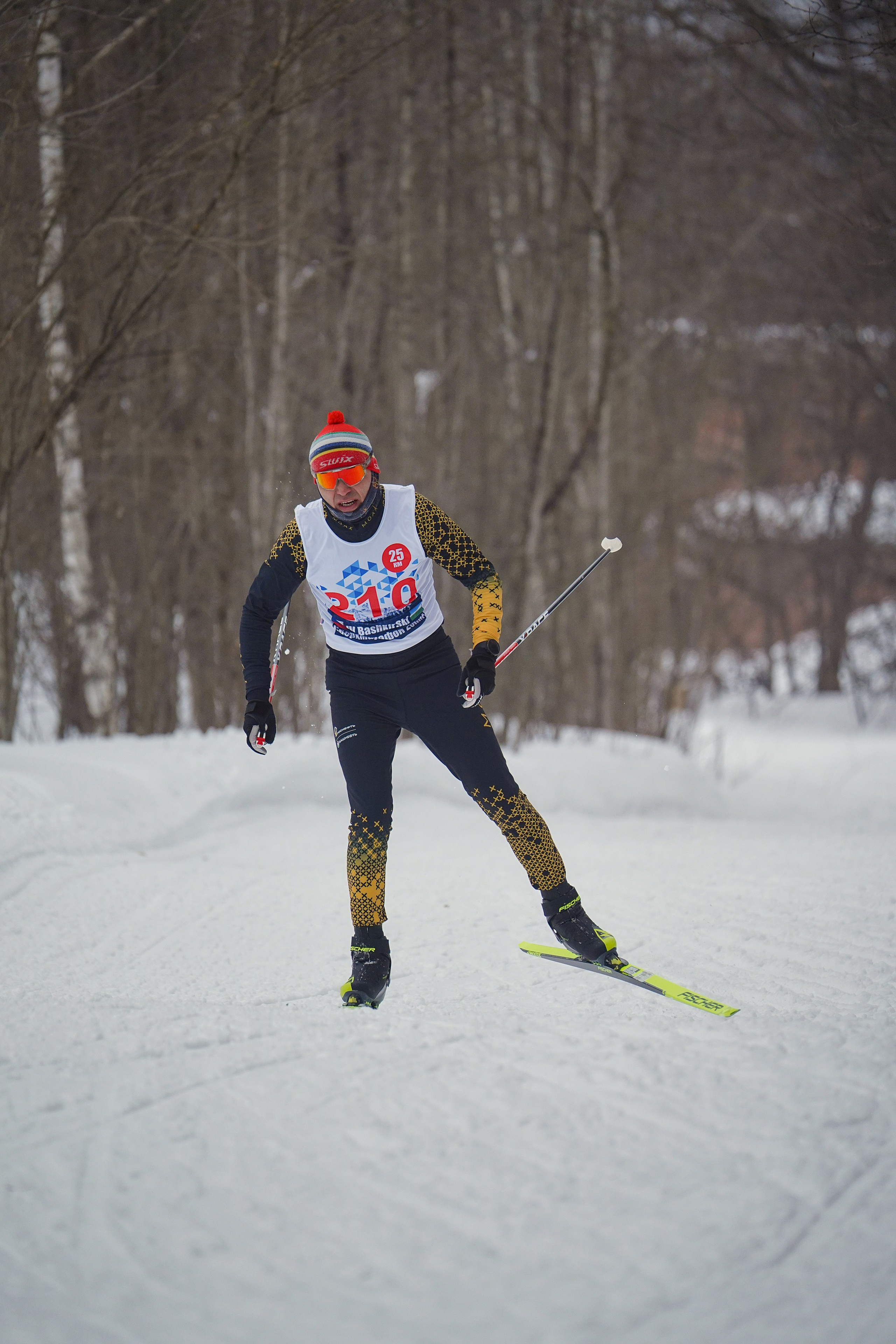 4-й BASHKIR-SKI Лыжный Сверхмарафон 100 км. Pupov.png