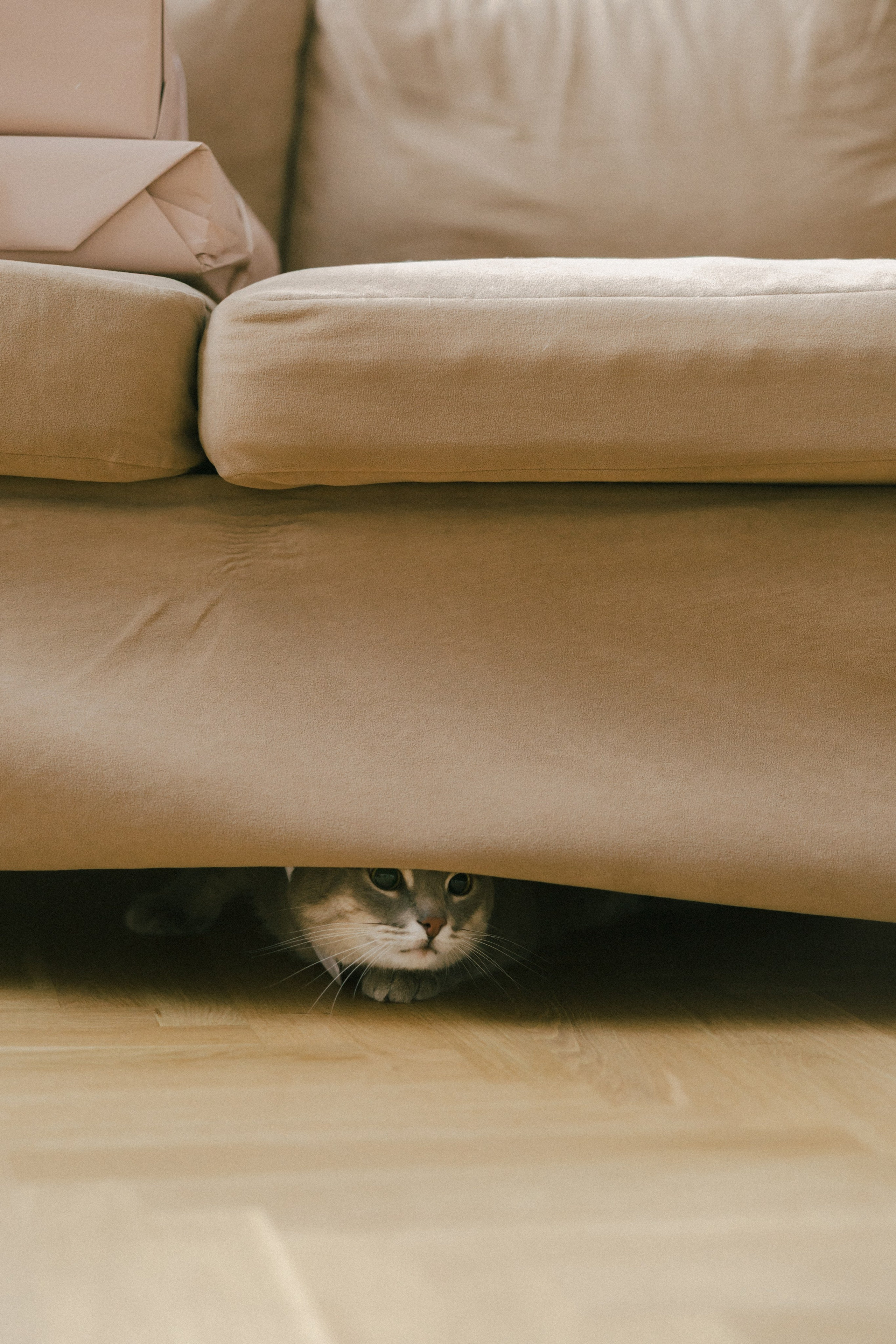 DomStudios. Свадебный фотограф Нижний Новгород