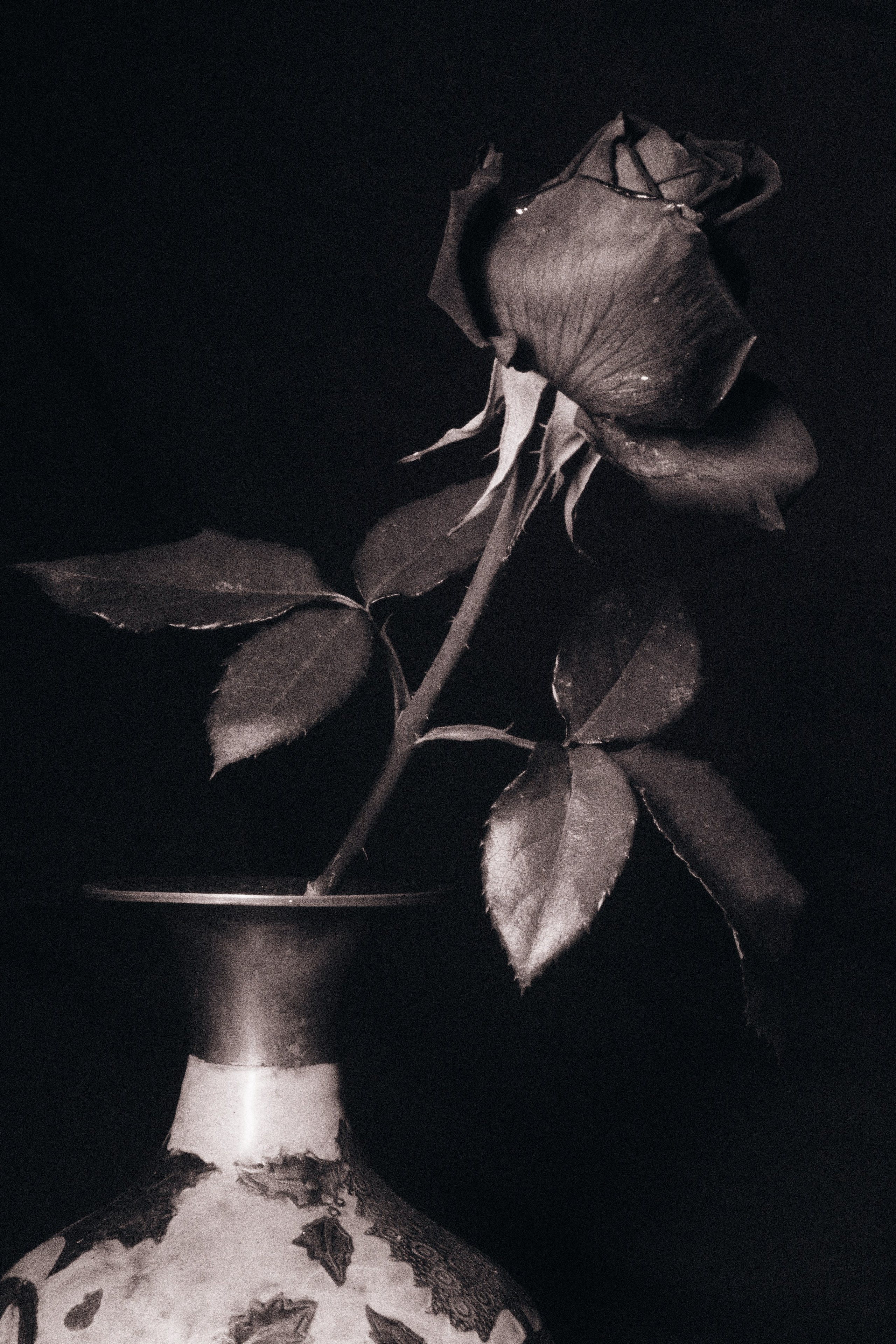 ЦВЕТЫ. Фотограф в Алматы Артемий Матюнин