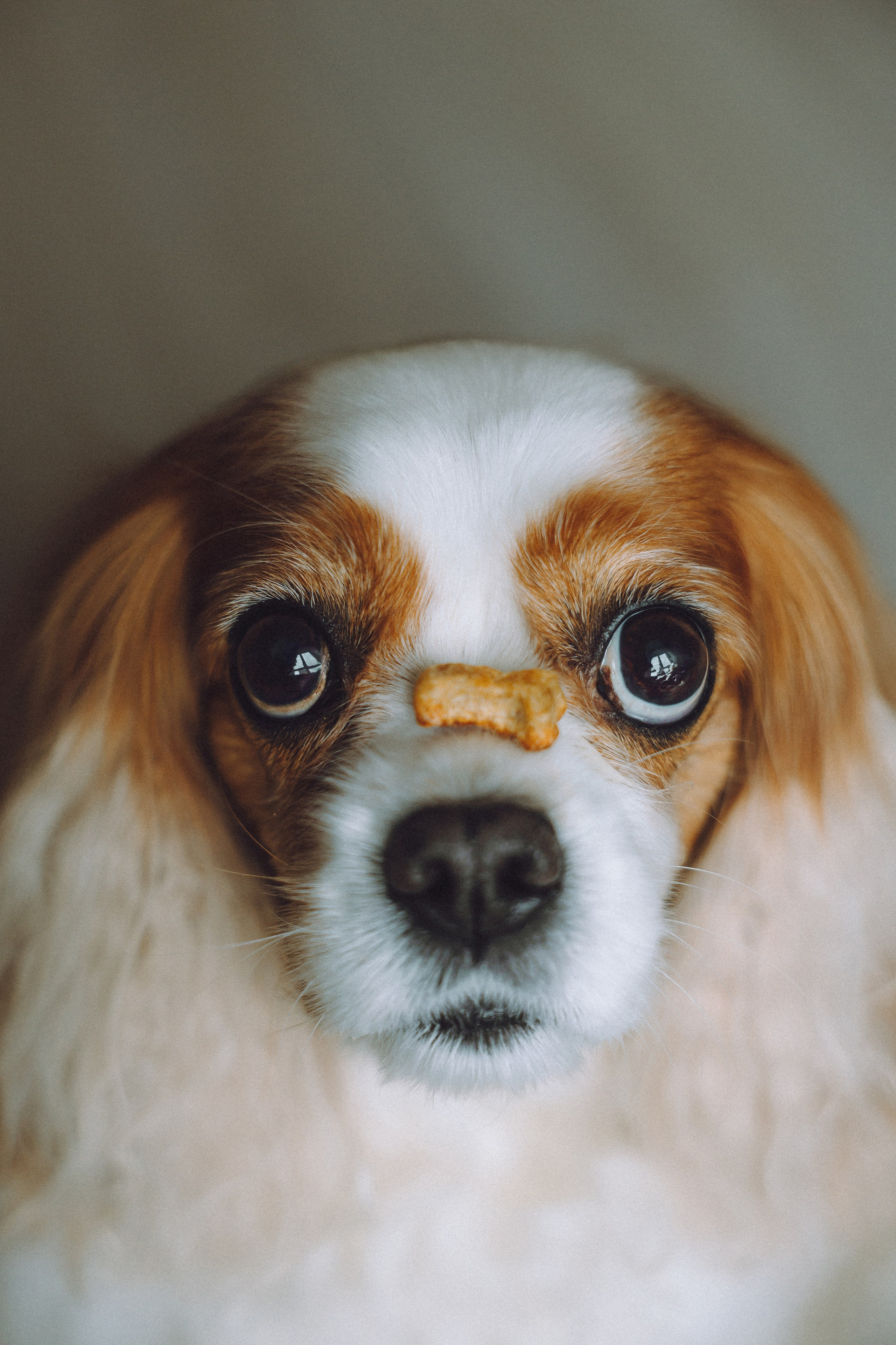 Наташа и Вики