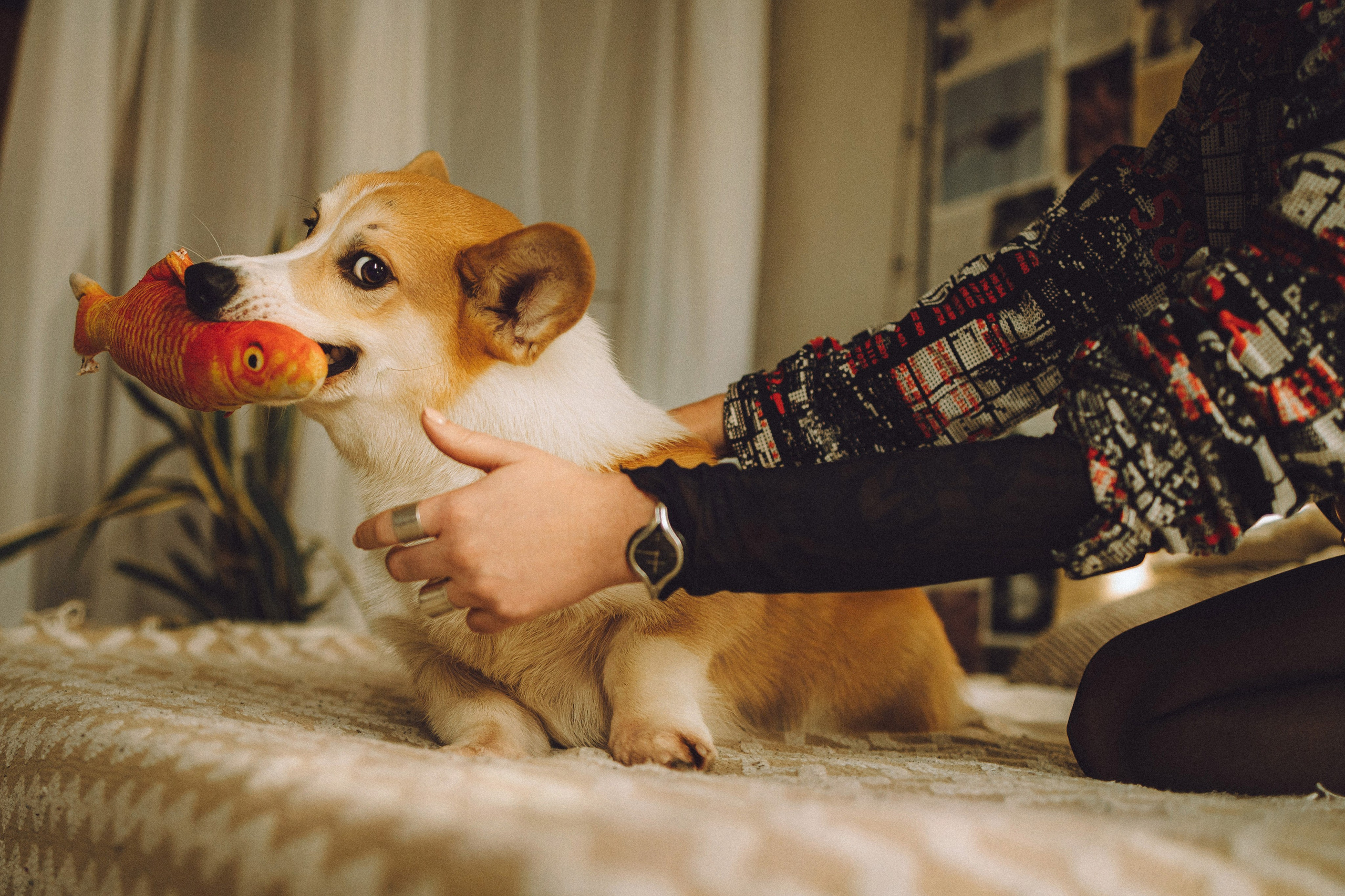 Наталья, Евгений и Мерлин