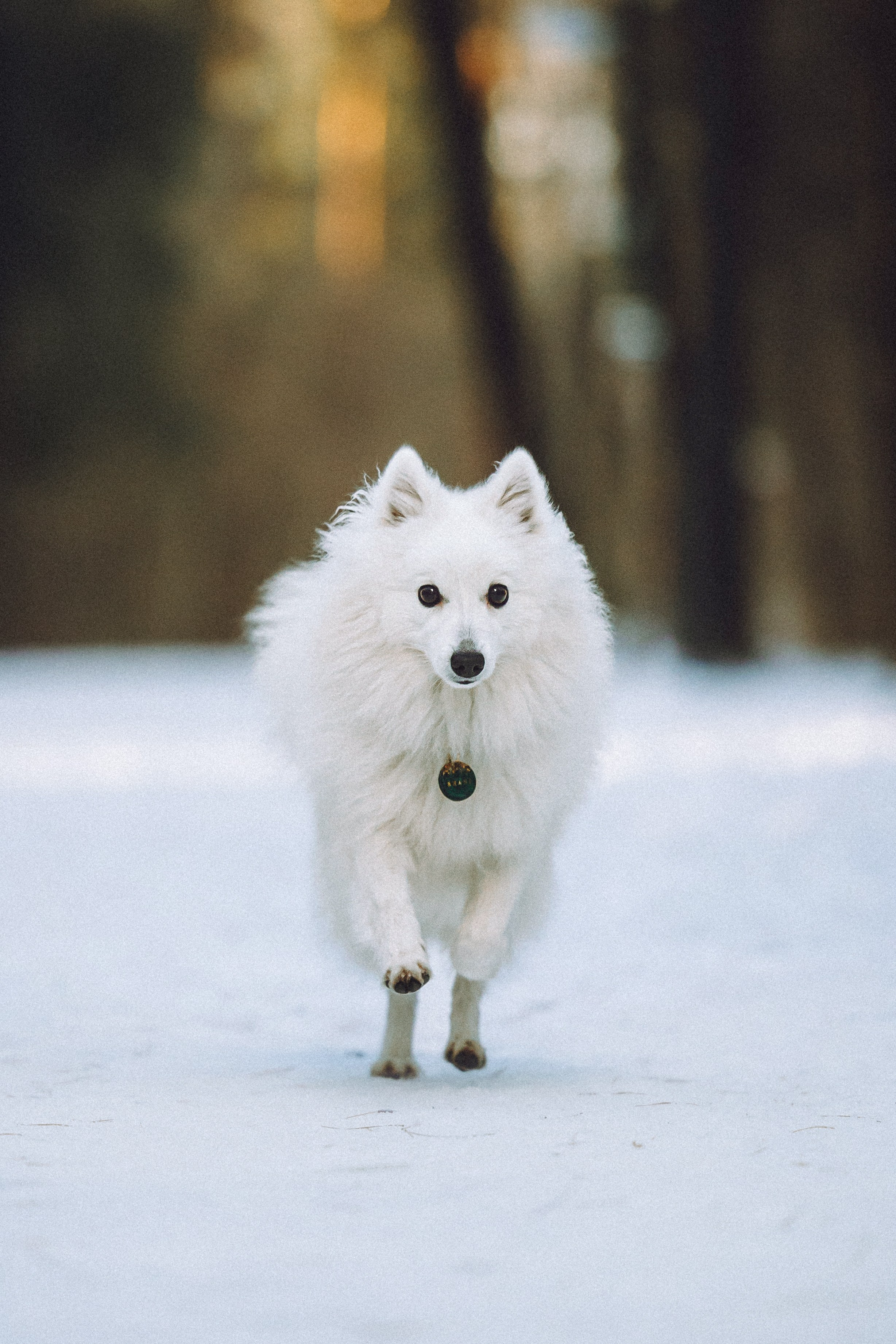 Шани и ее семья
