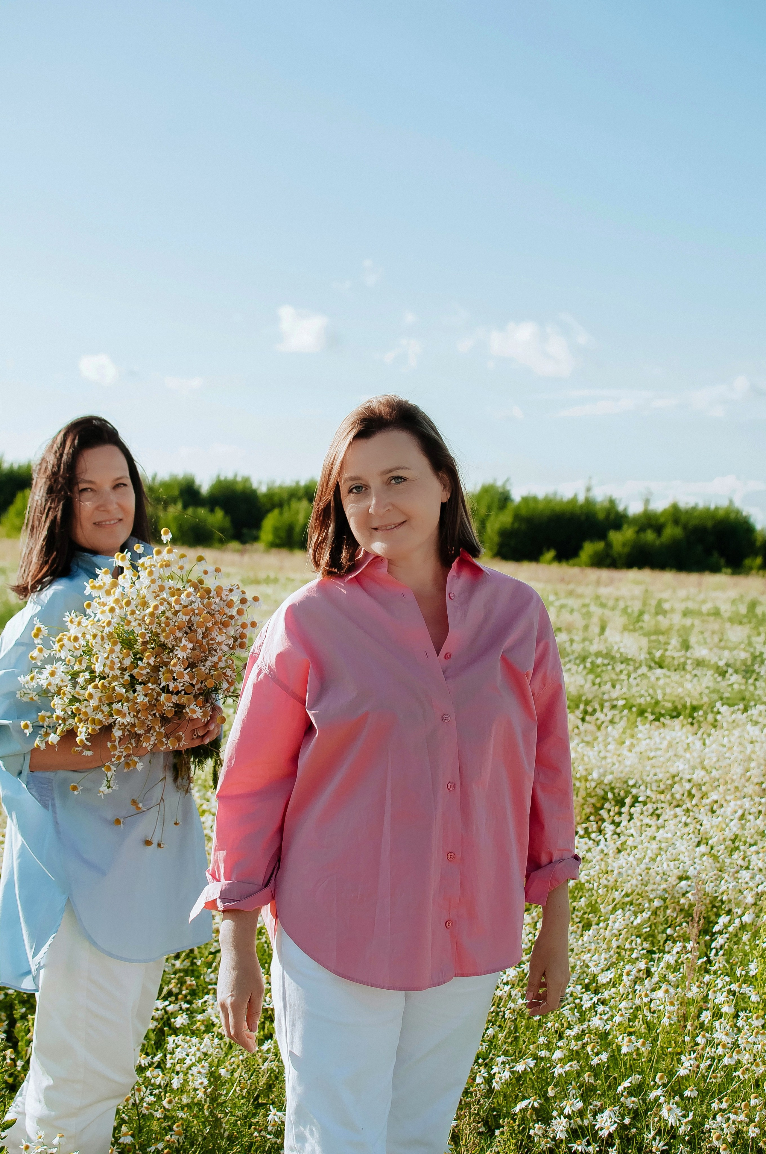 Привет ромашки