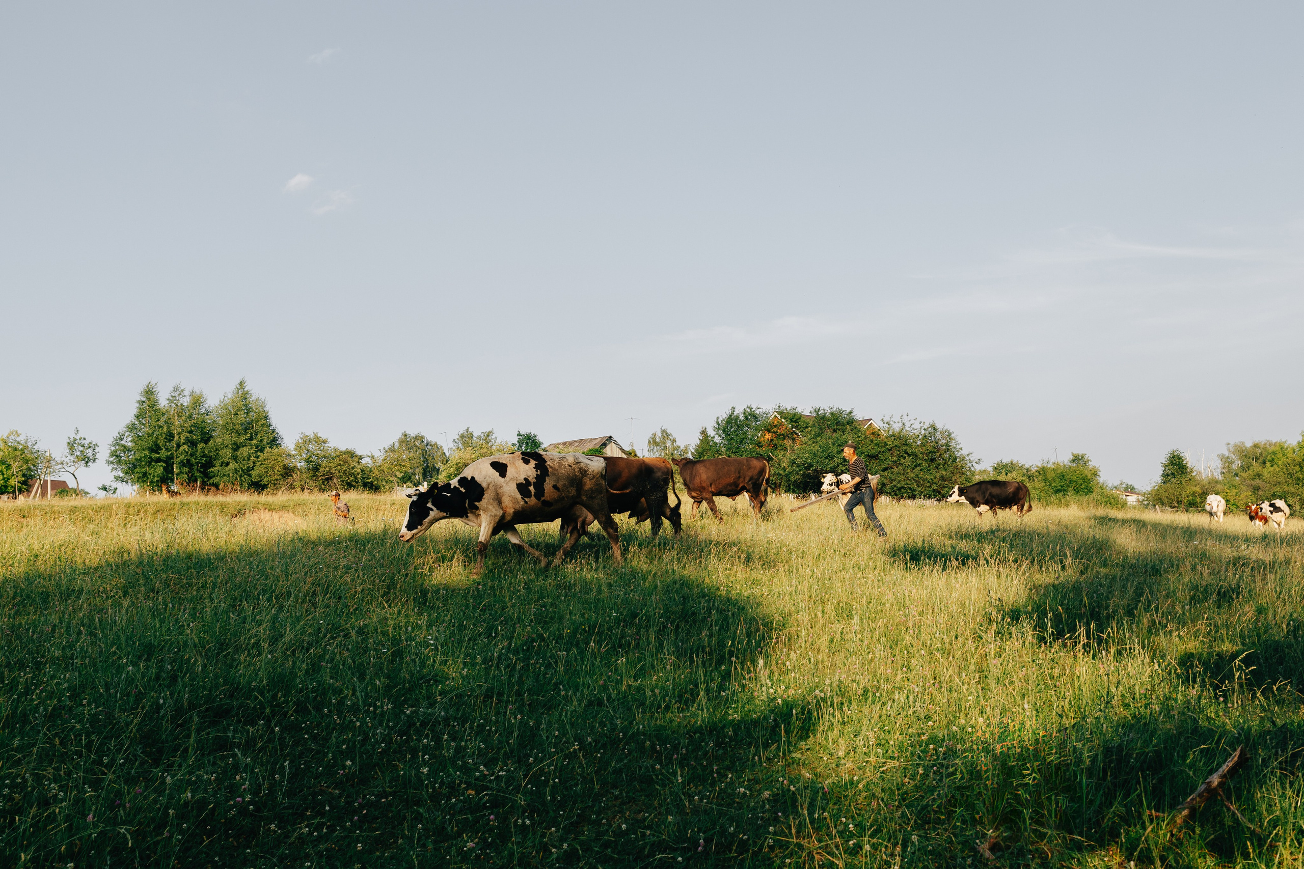 Летние мгновения. Свадебный и студийный фотограф в Нижнем Новгороде