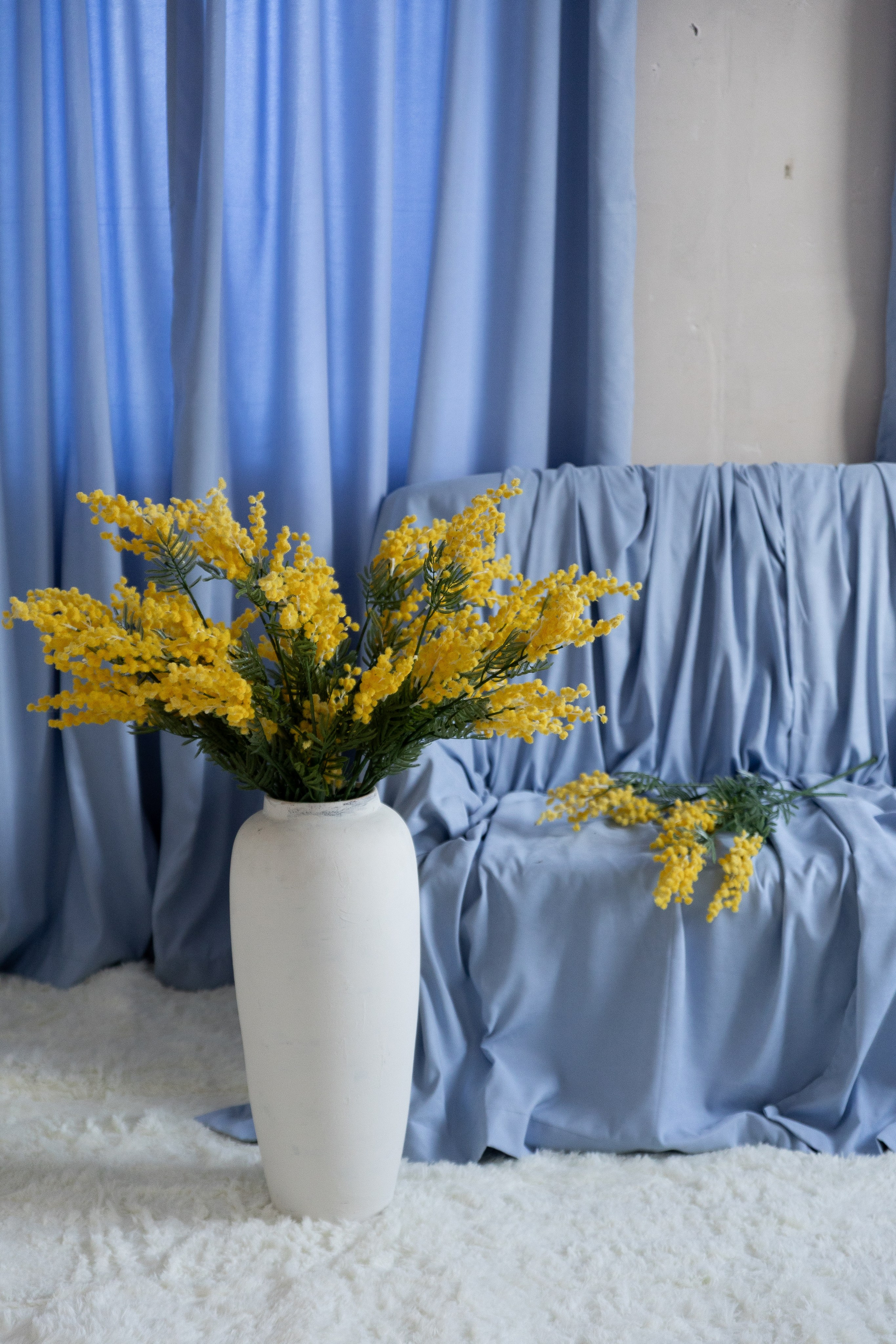 Дом, зал Бали (Калинина 189а). Портретный, семейный, свадебный фотограф в Брянске Маргарита Василькова