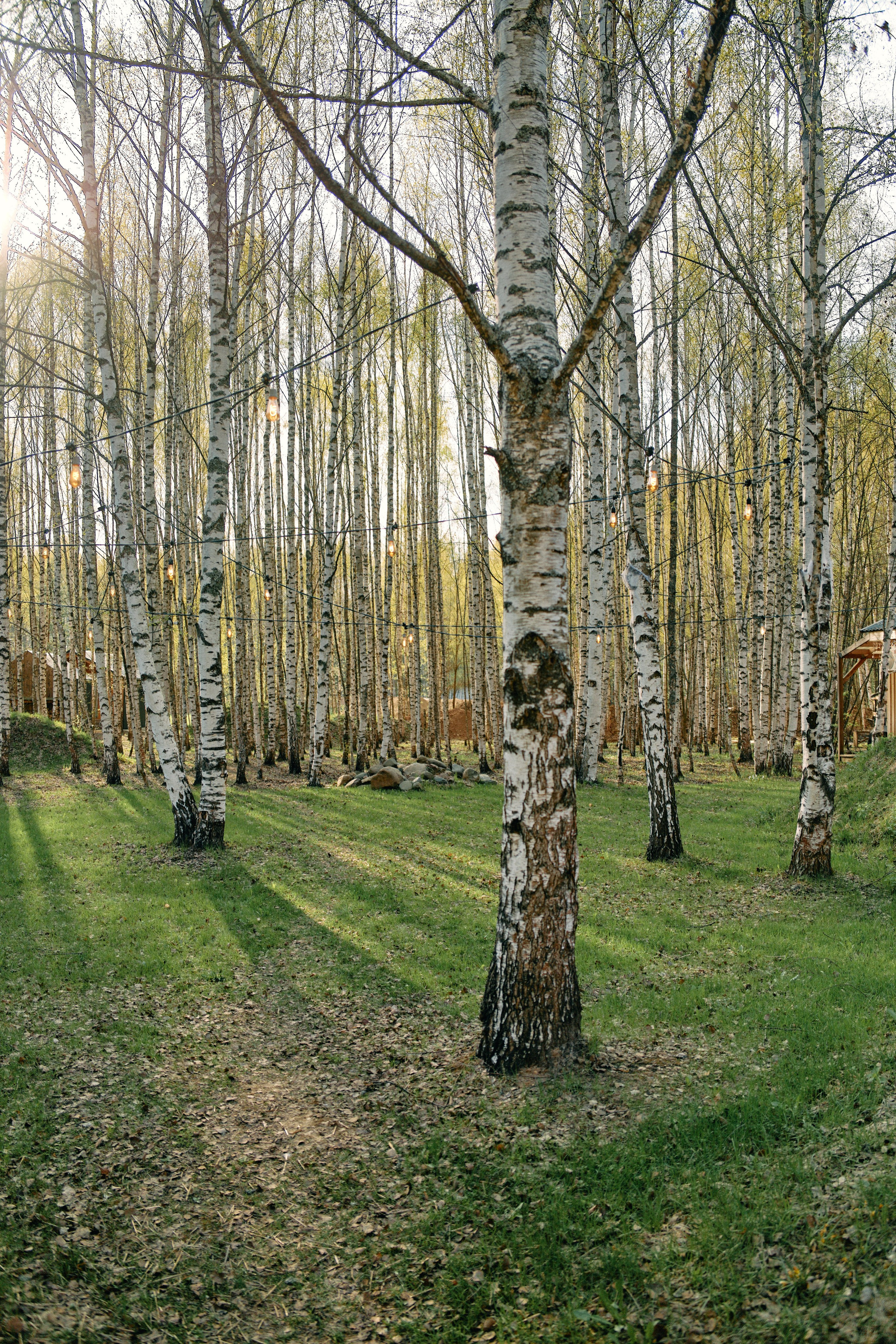 Бутик-отель Поле летом. Профессиональный Фотограф во Владимире, в Москве и в Суздале — Полина Романычева