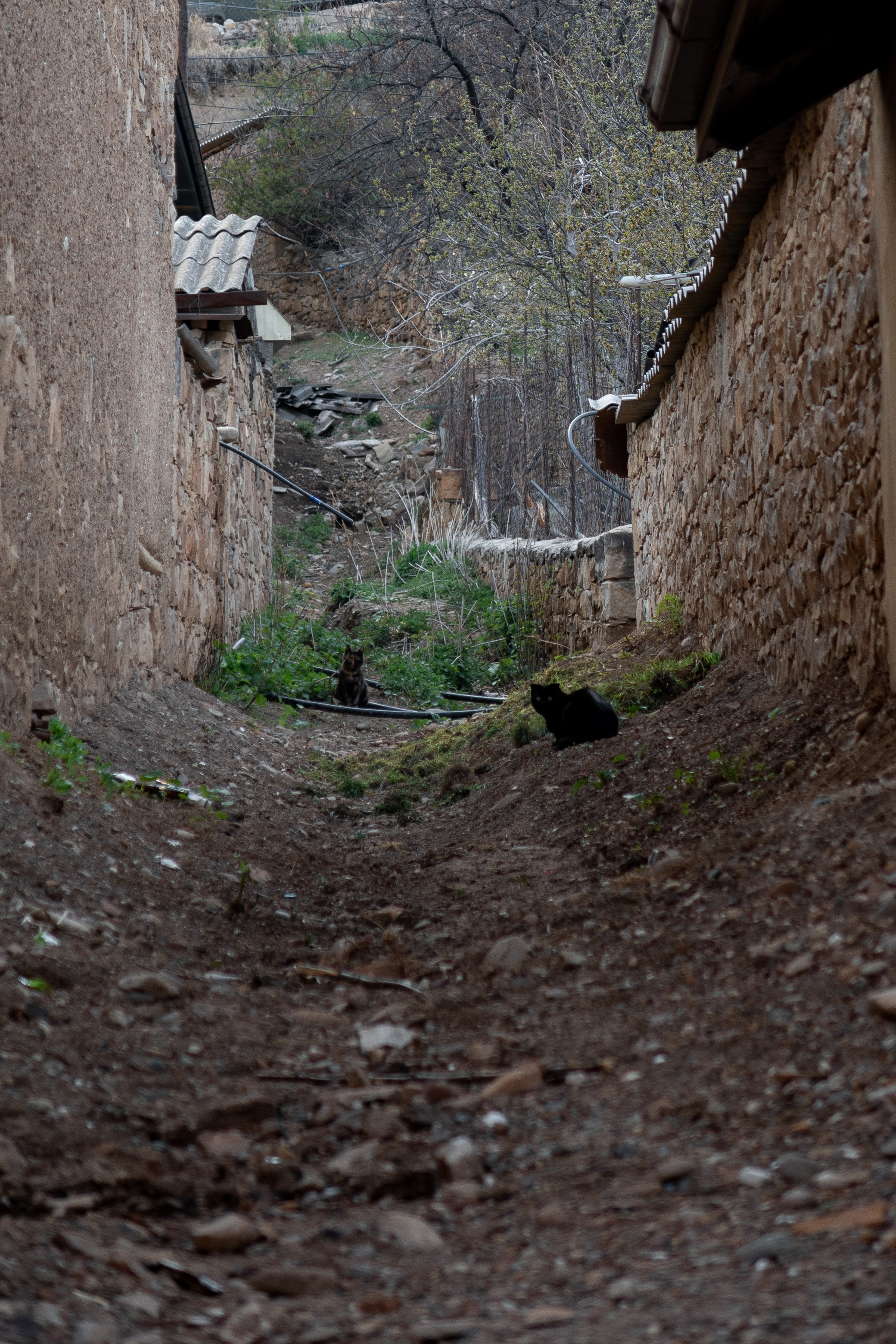 Поездка в Дагестан (село Гуниб) на съемку трейла Wild Trail. Павел Шарапов | Фотограф | Москва