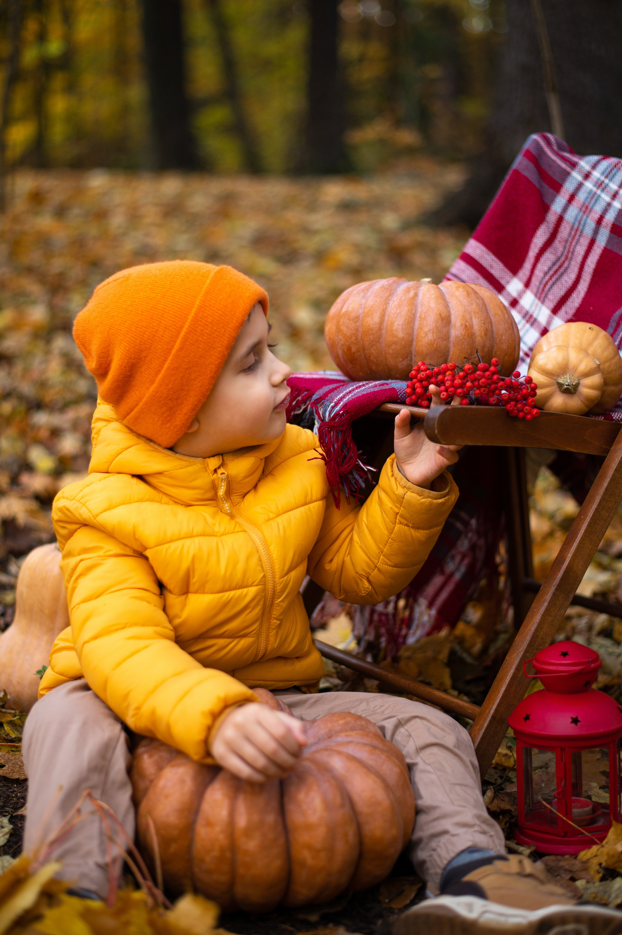 Осень в Шуваловском парке. Фотограф Санкт-Петербург | Дарья Першина