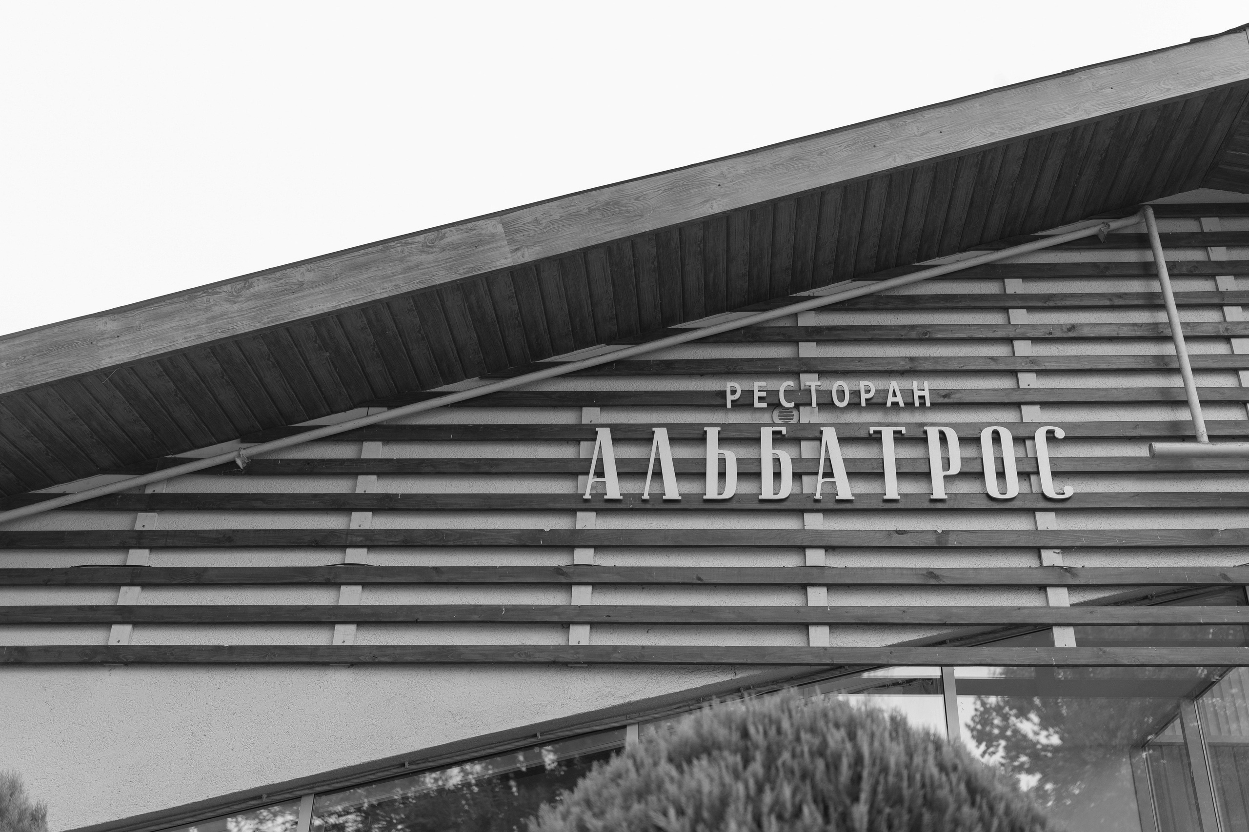 Свадебный ужин в Альбатросе. Анастасия Безуглова- свадебный фотограф в Таганроге