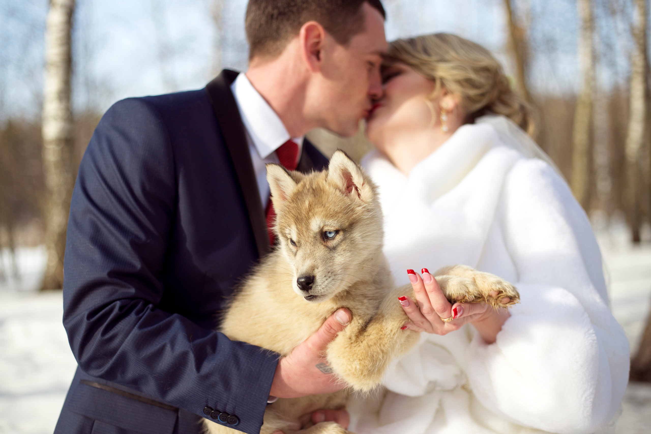 Свадьба. Фотограф в Москве и Московской области Юлия Полянина