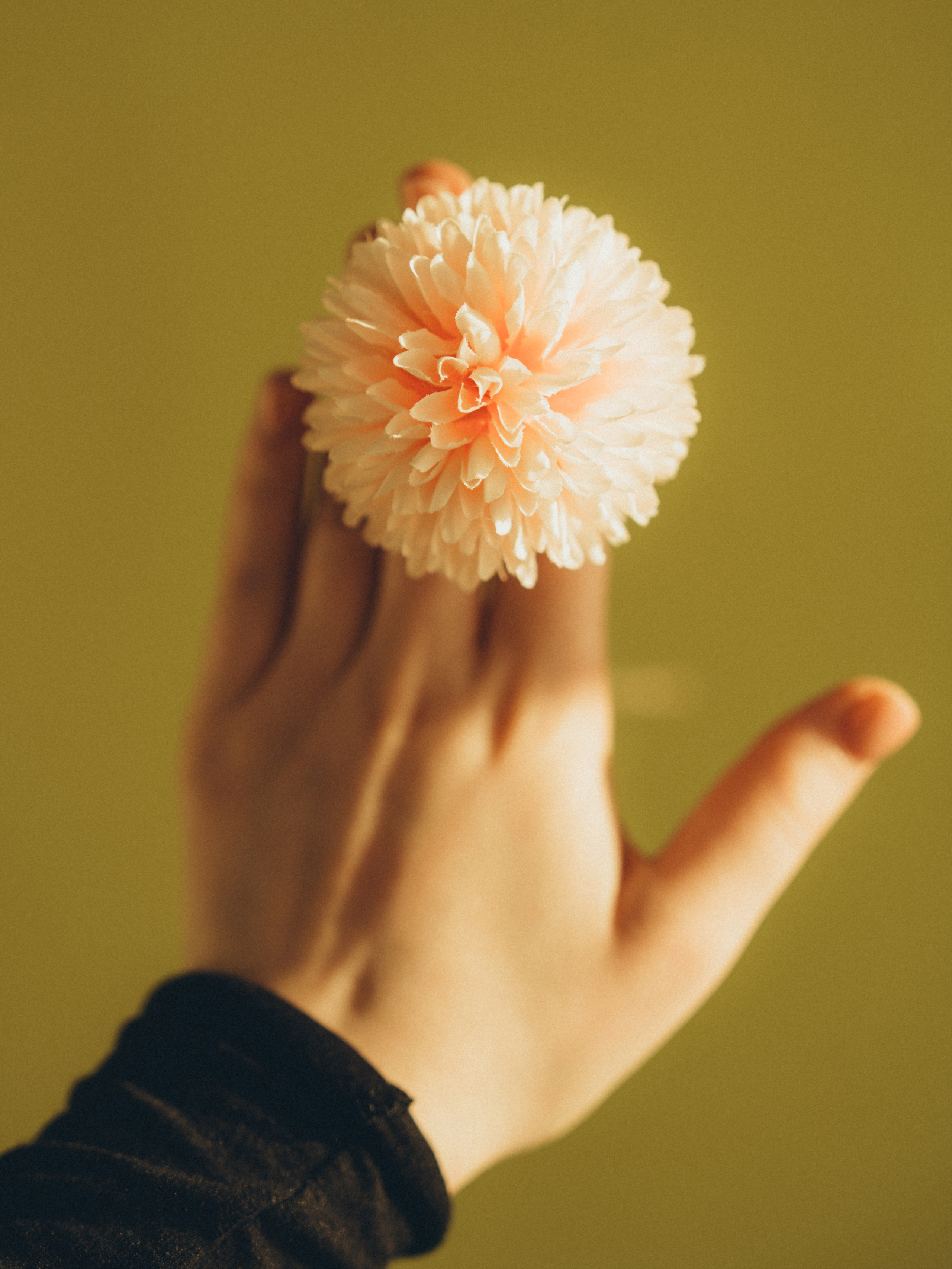 Контент. Фотограф на Камчатке Воронина Ульяна