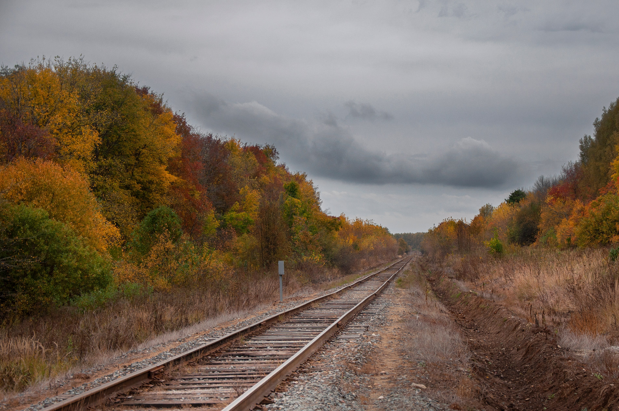 Пейзажи и архитектура. Портретная и репортажная съёмка
