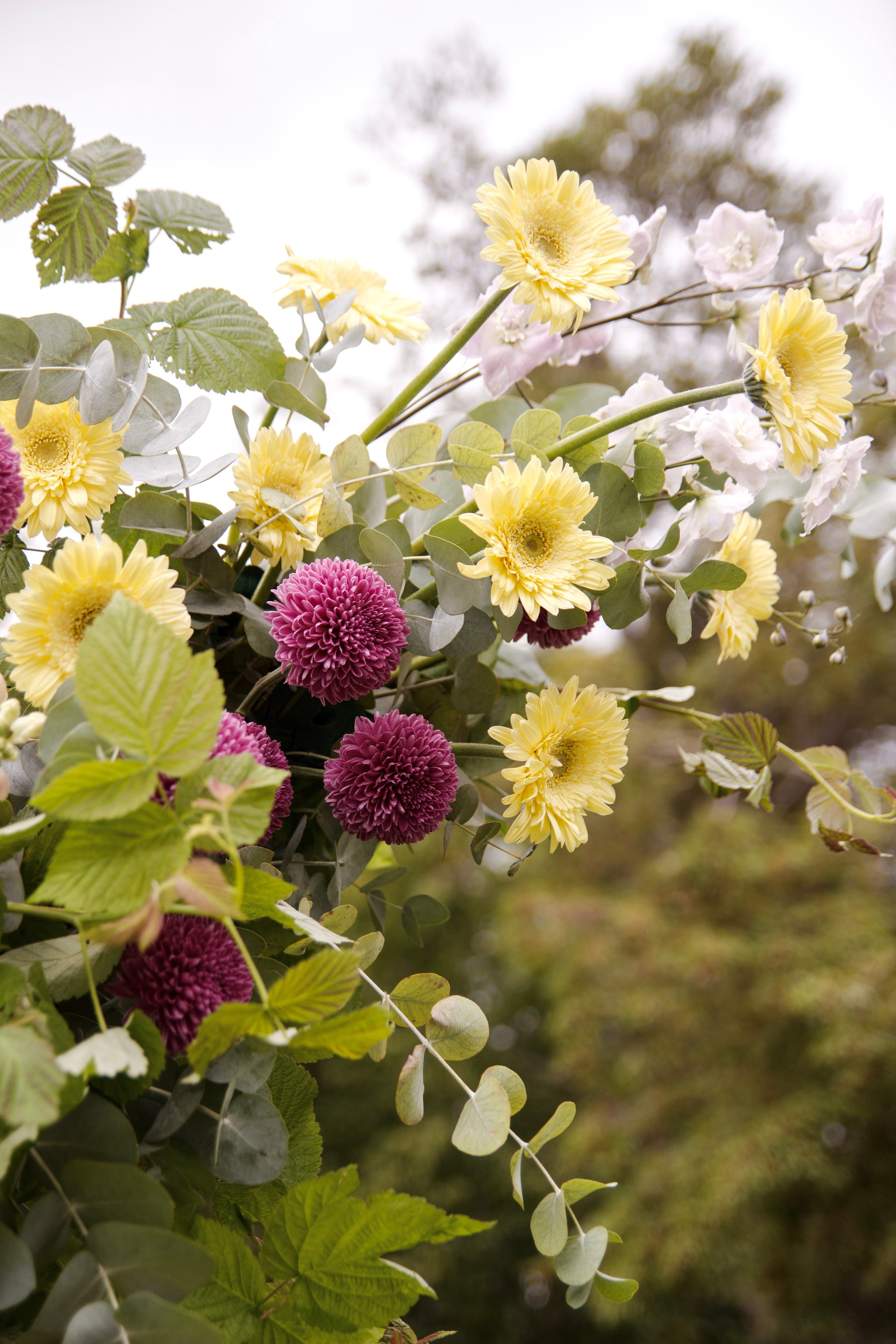 Дмитрий и Анастасия 2023. Ксения Почтарь. Декоратор и флорист, город Владивосток