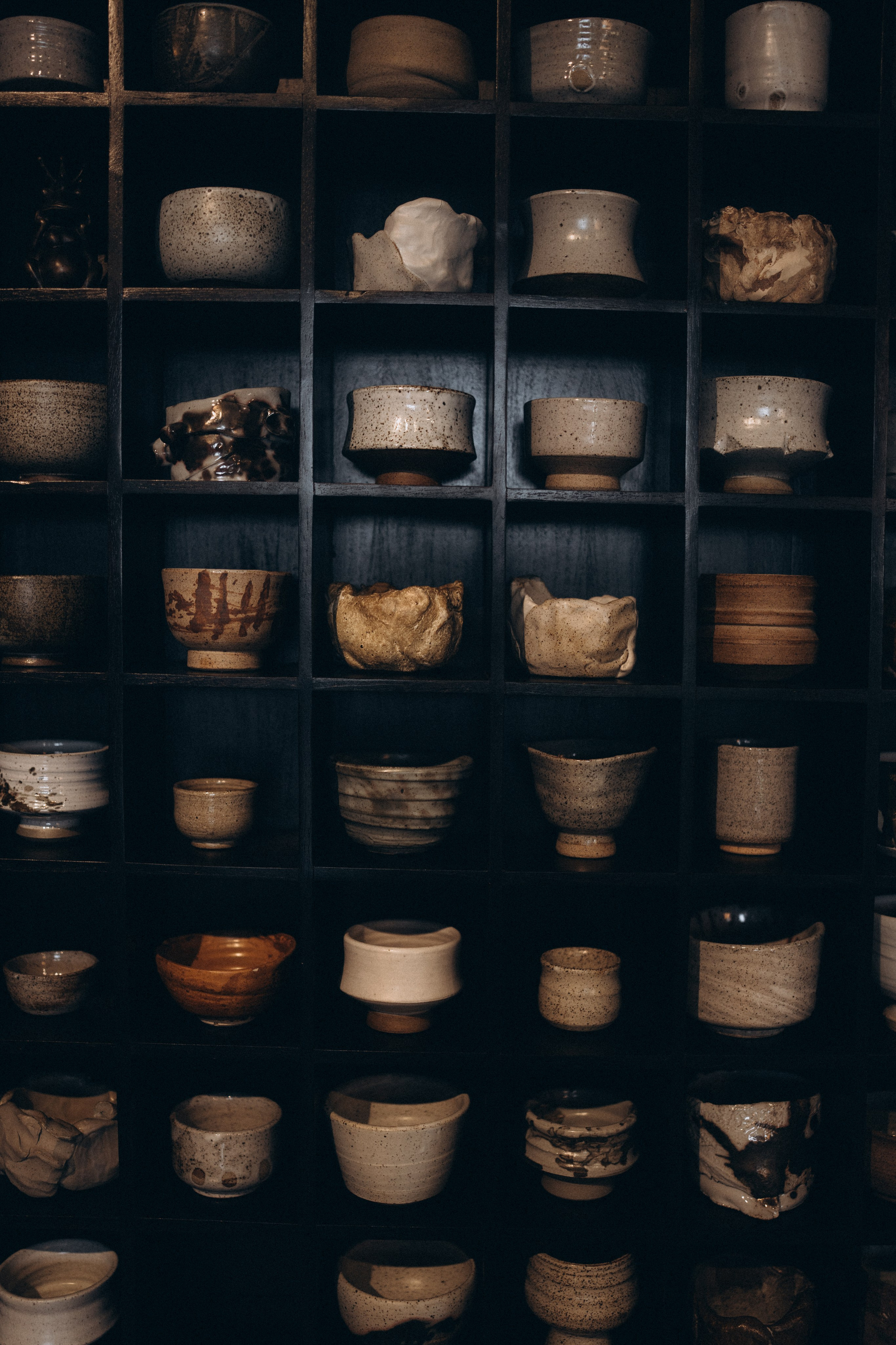 David, Lilu, Rainrose & Helious. Ольга Антипова — фотограф