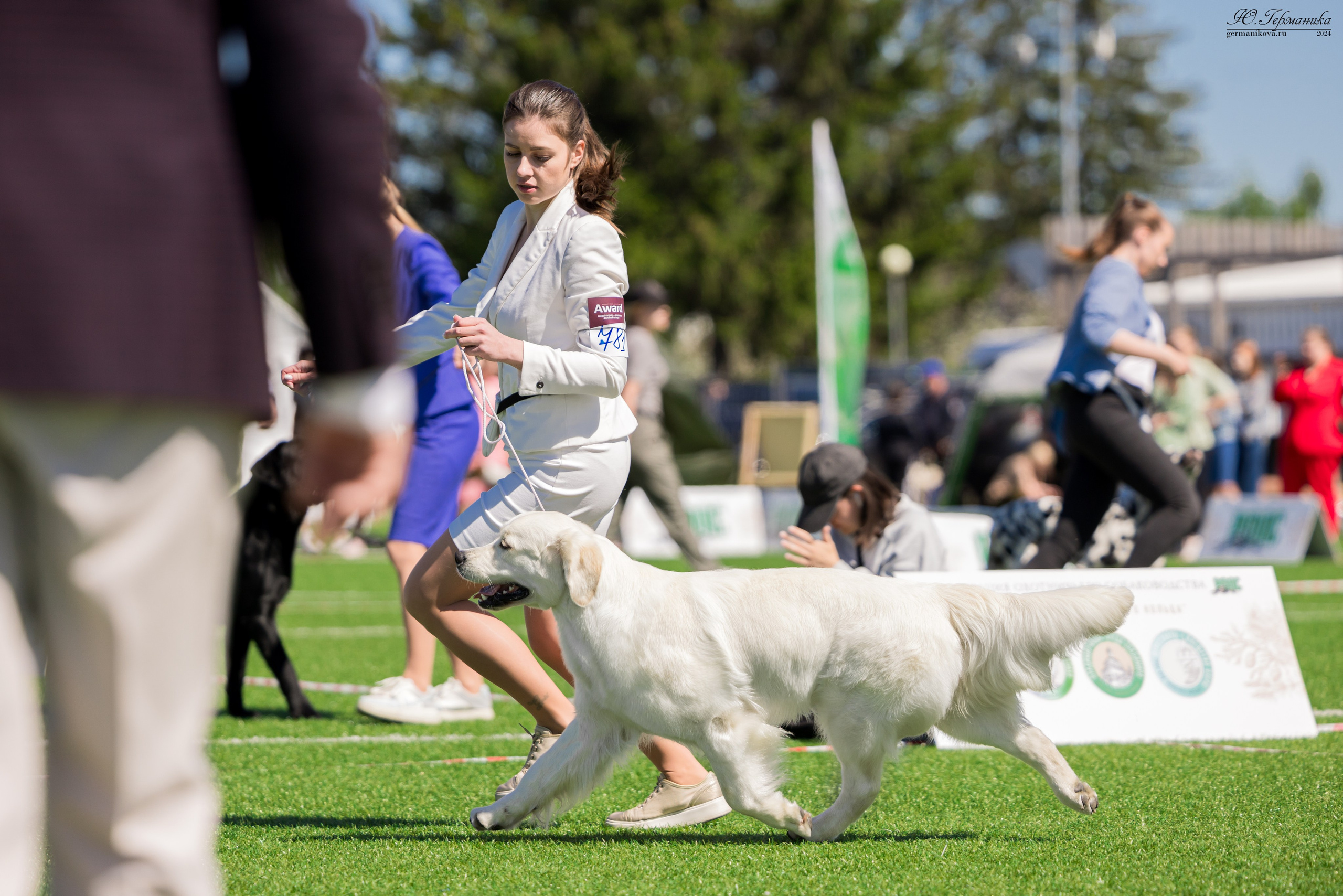 Суздаль 18-19.05.2024. Фотограф-анималист Юлия Германика