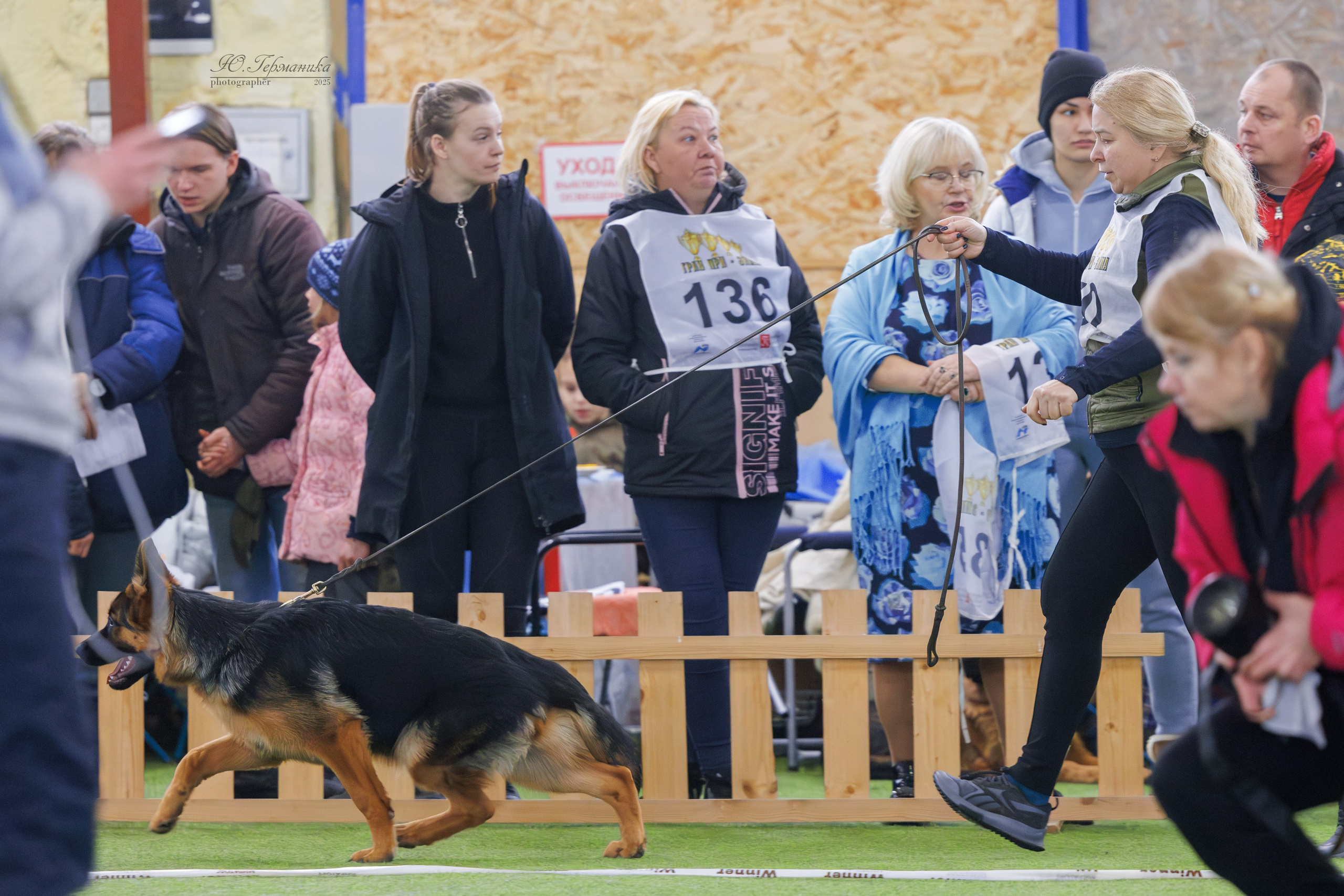 Гран-При 8.02.2025 и Крокус 09.02.2025. Фотограф-анималист Юлия Германика