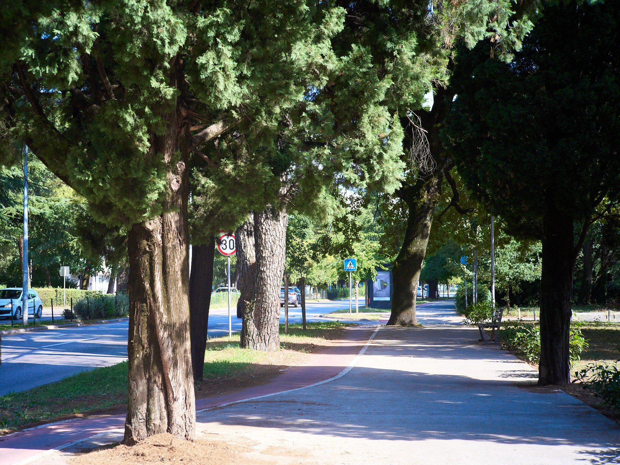 Черногория, сентябрь 2024. Фотограф, Римма Невинская