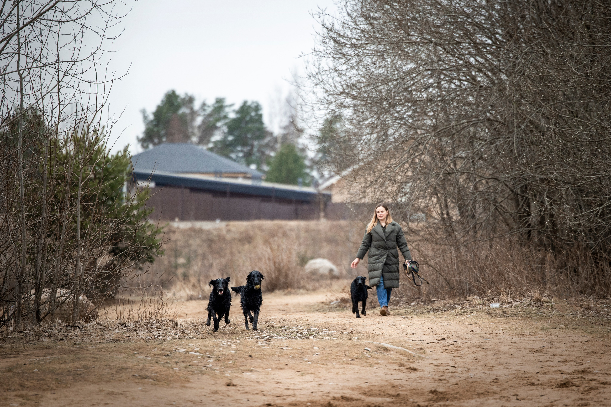 Ора, Ева, Рози и их семья. Фотограф — Анималист | Санкт-Петербург