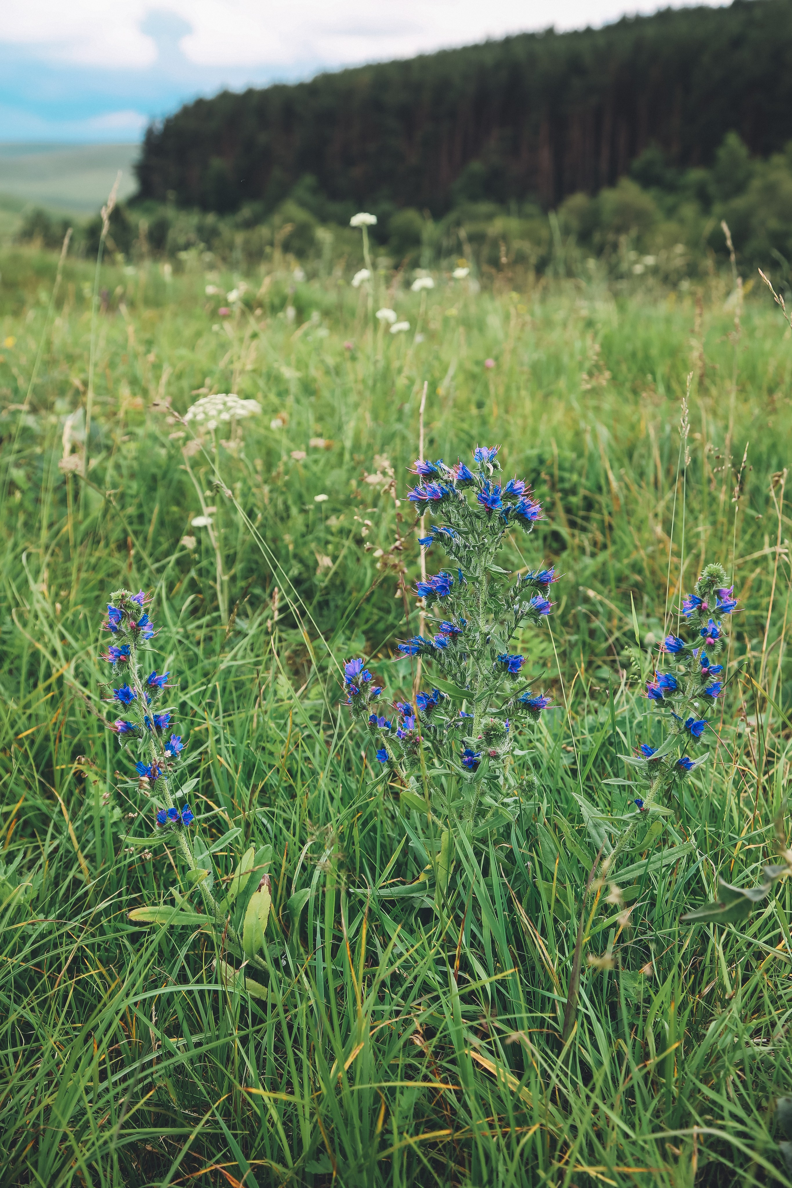 Кавказ: Беспощадный Бермамыт. Дарья Письменюк / Darya Leitstern — фотограф, музыкант, журналист, путешественник
