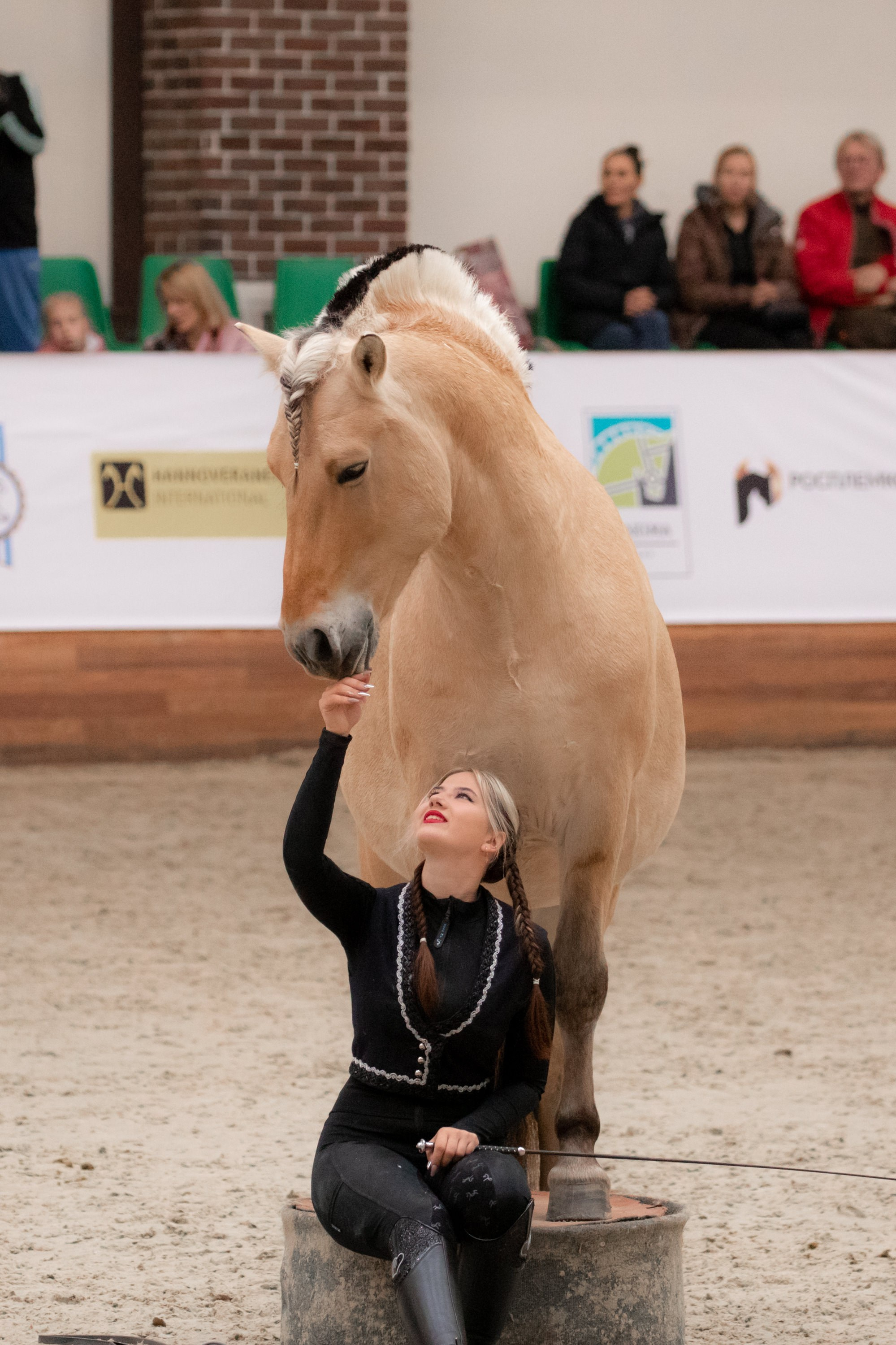 Конные выставки. Mrs.Aquarelia Конный фотограф Марианна Леонтьева