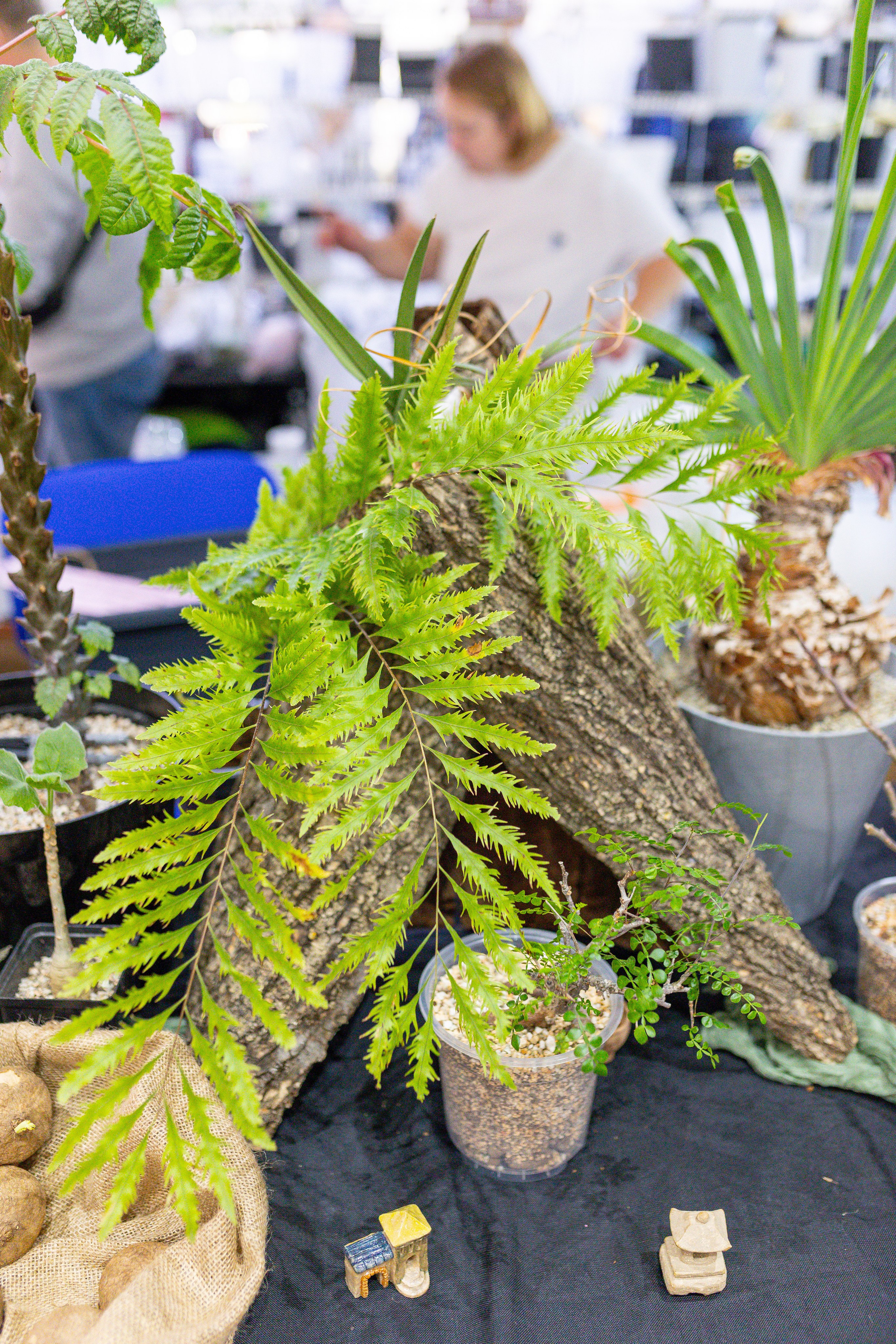 Монстериум 11–12 октября. Александра Куликова фотограф, Москва