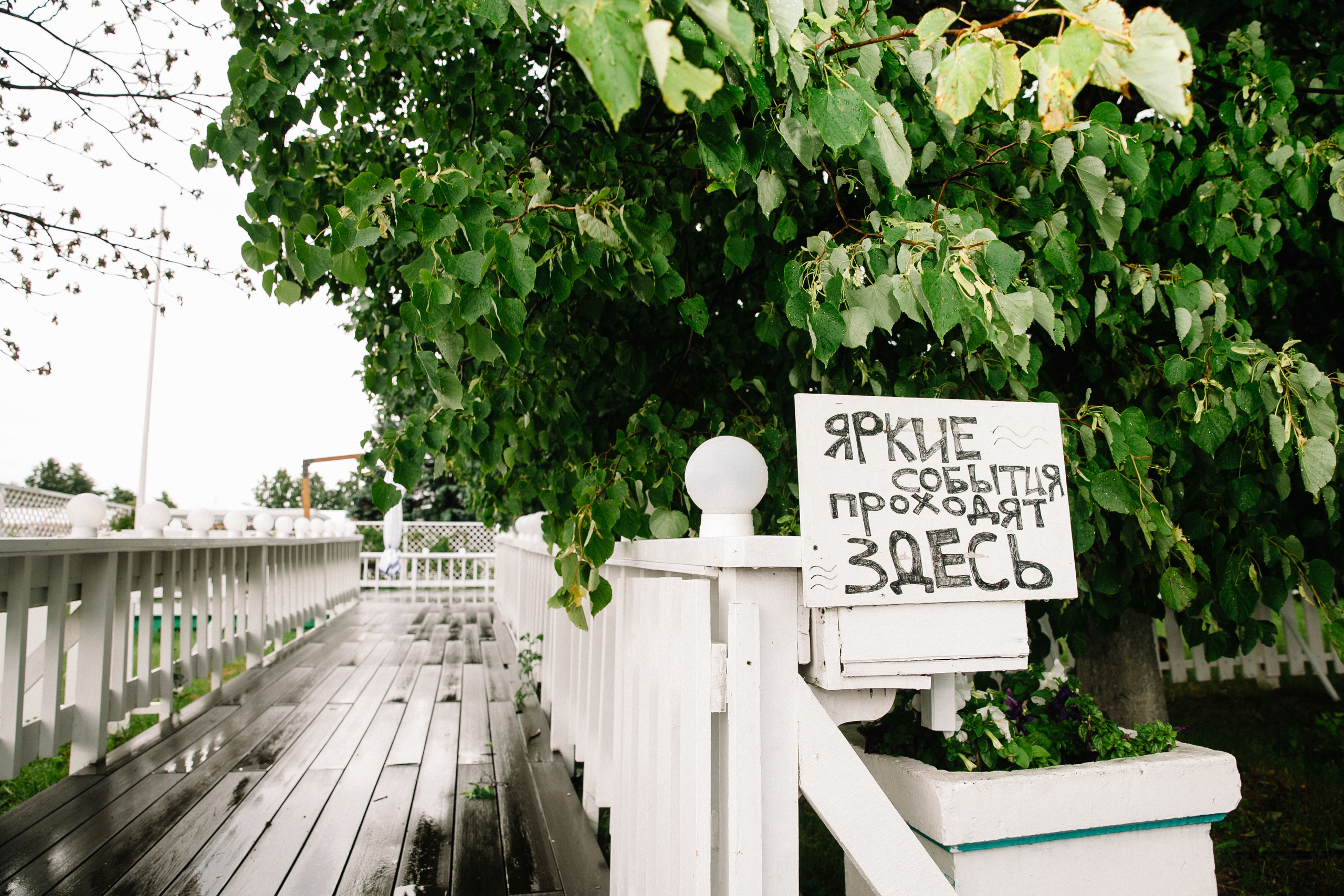 Марина + Никита. Семейный и свадебный фотограф в Майкопе Михаил Мартиросян