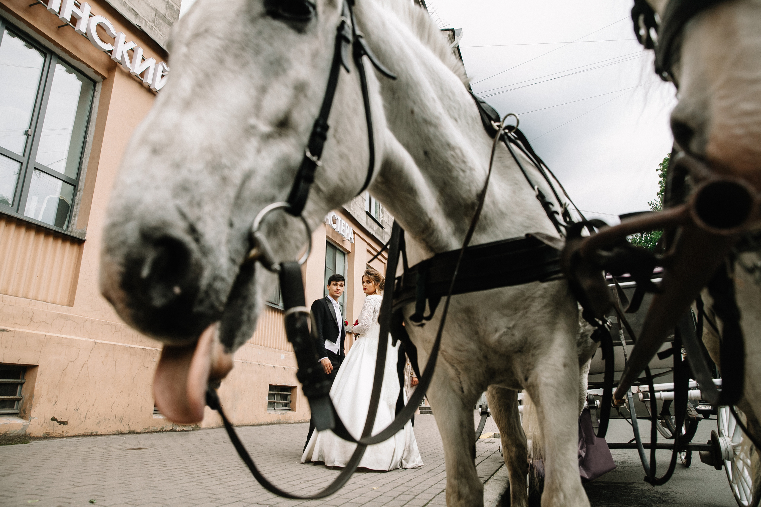 Марина + Никита. Семейный и свадебный фотограф в Майкопе Михаил Мартиросян