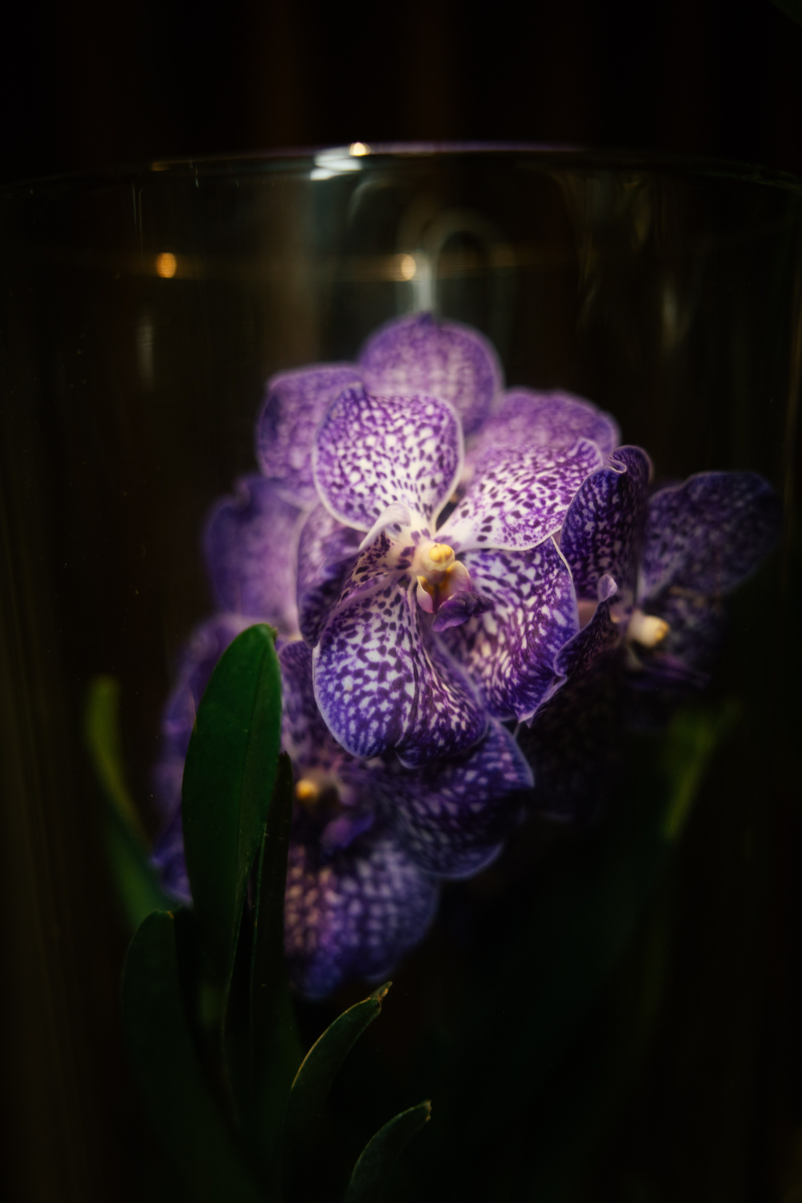 Private party Araik Galstyan & MELIÁ Barcelona Hotel. Europe Wedding Photo  — destination wedding photography across Europe and the Middle East